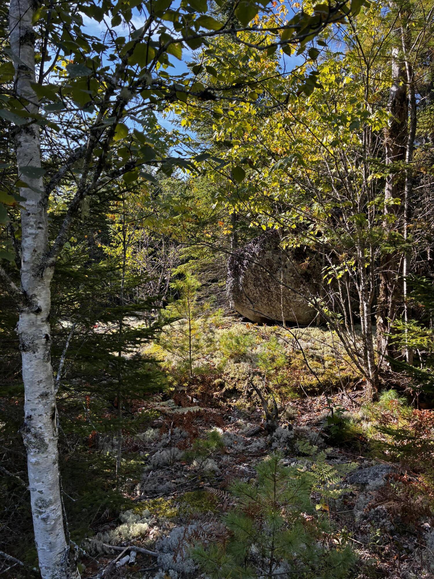 14 Acadia View Property Photo 3