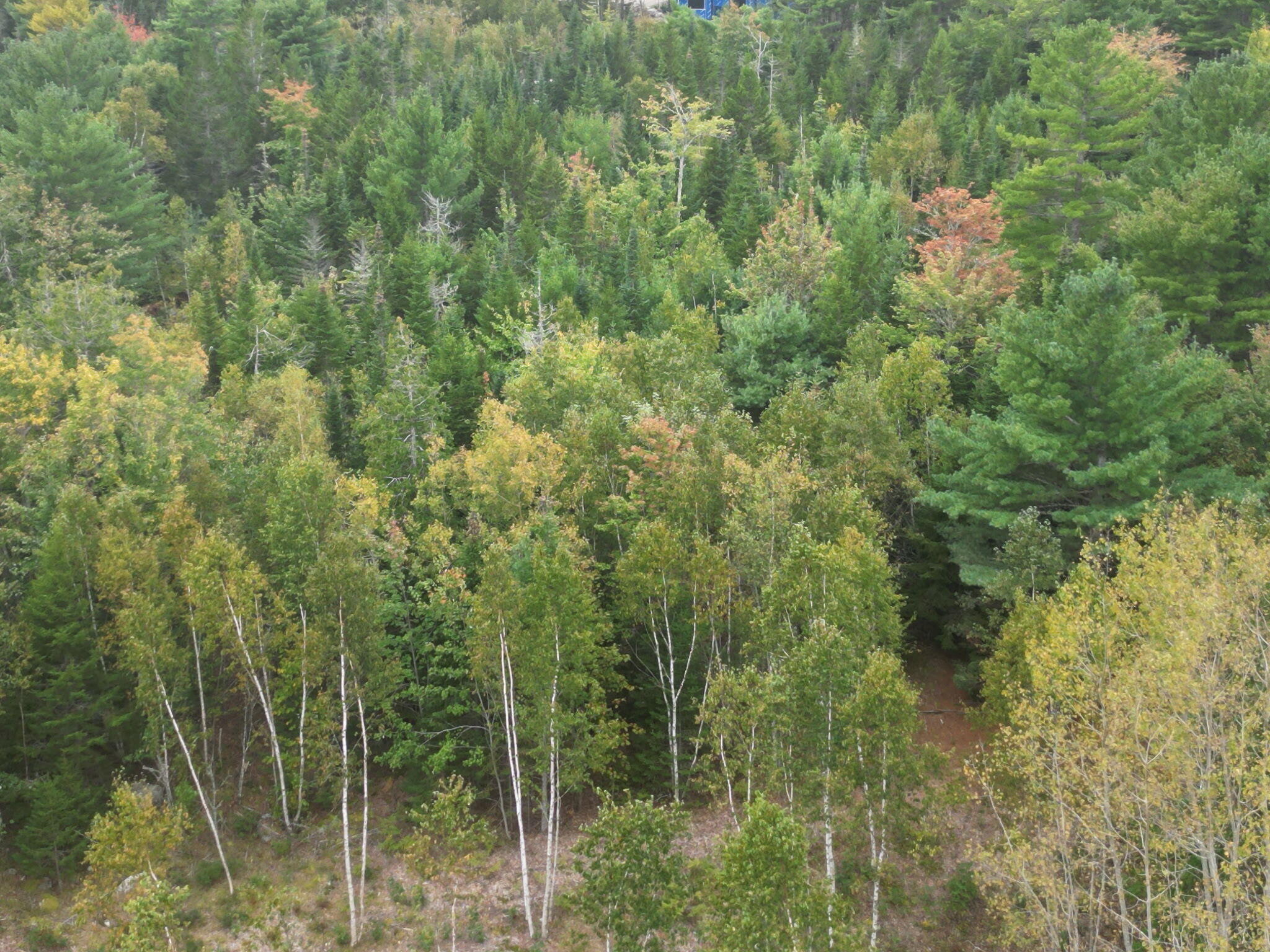 14 Acadia View Property Photo 14