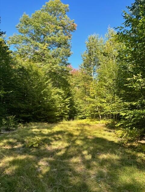 0 Beech Ridge Road Property Photo 1