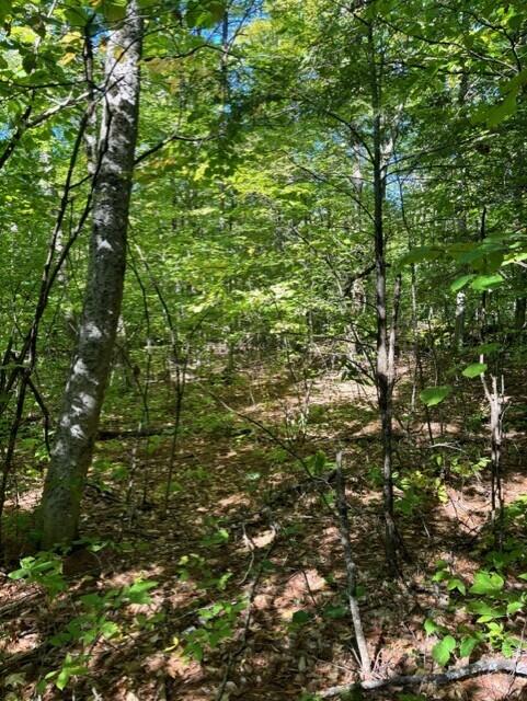 0 Beech Ridge Road Property Photo 2