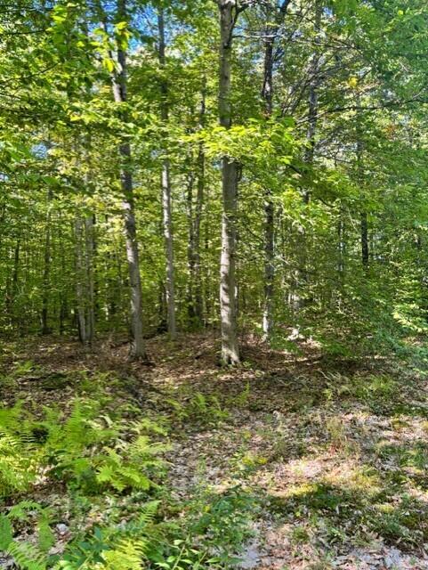 0 Beech Ridge Road Property Photo 3