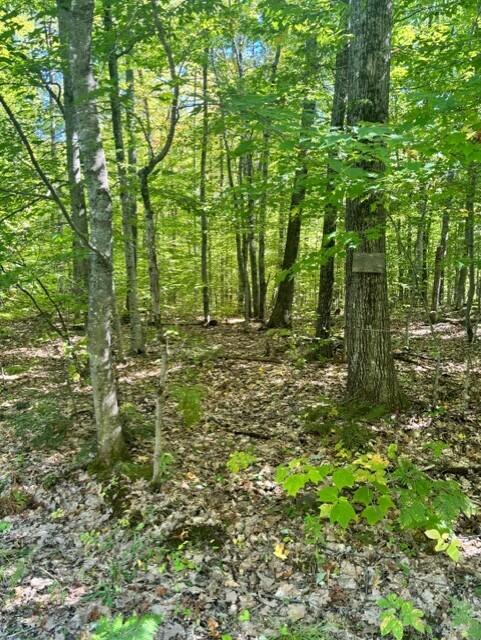 058-001 Watertower Lane Property Photo 2