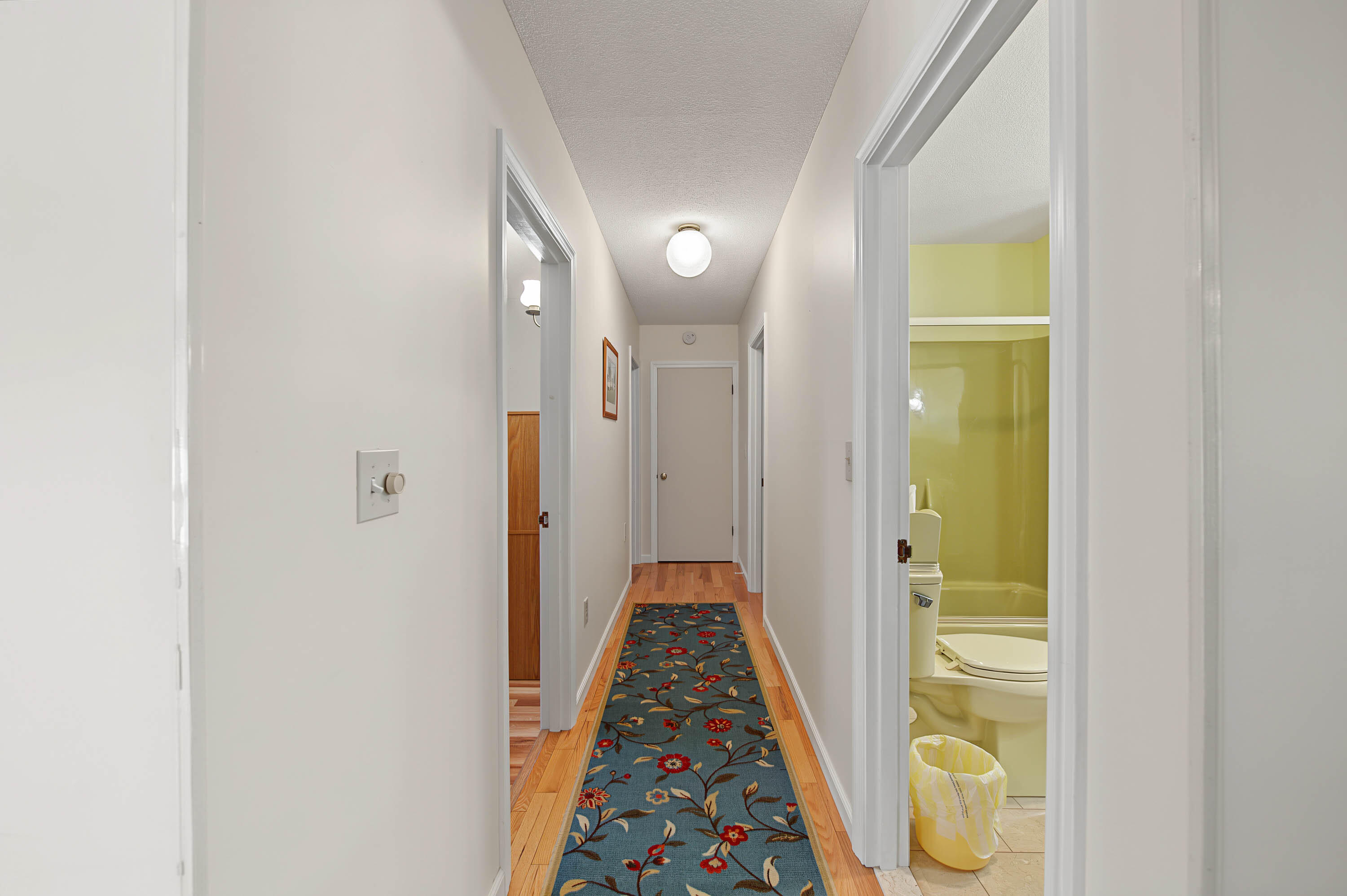 19 Bonnallie Avenue Property Photo 28