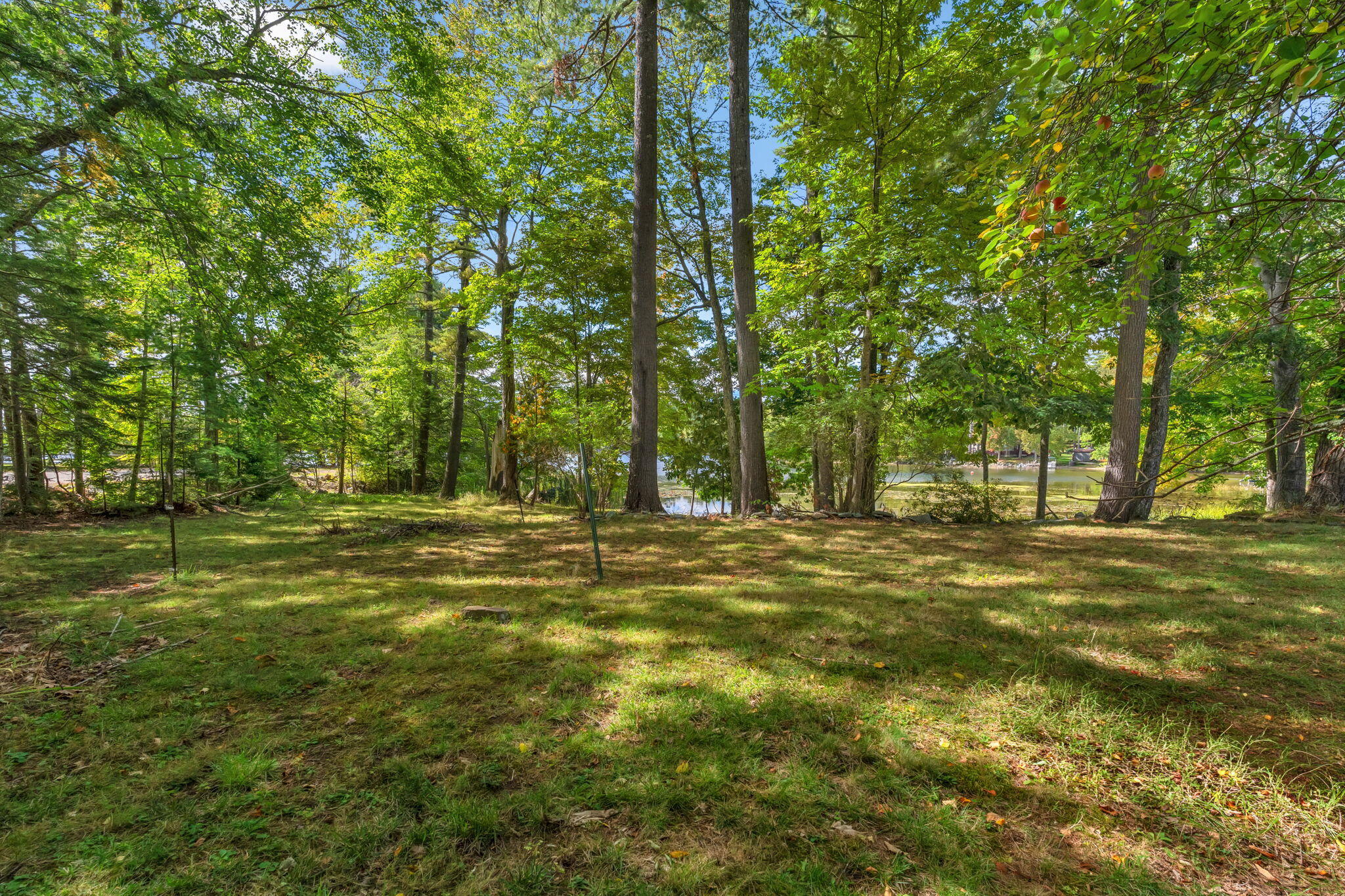 221 Soper Road Property Photo 80