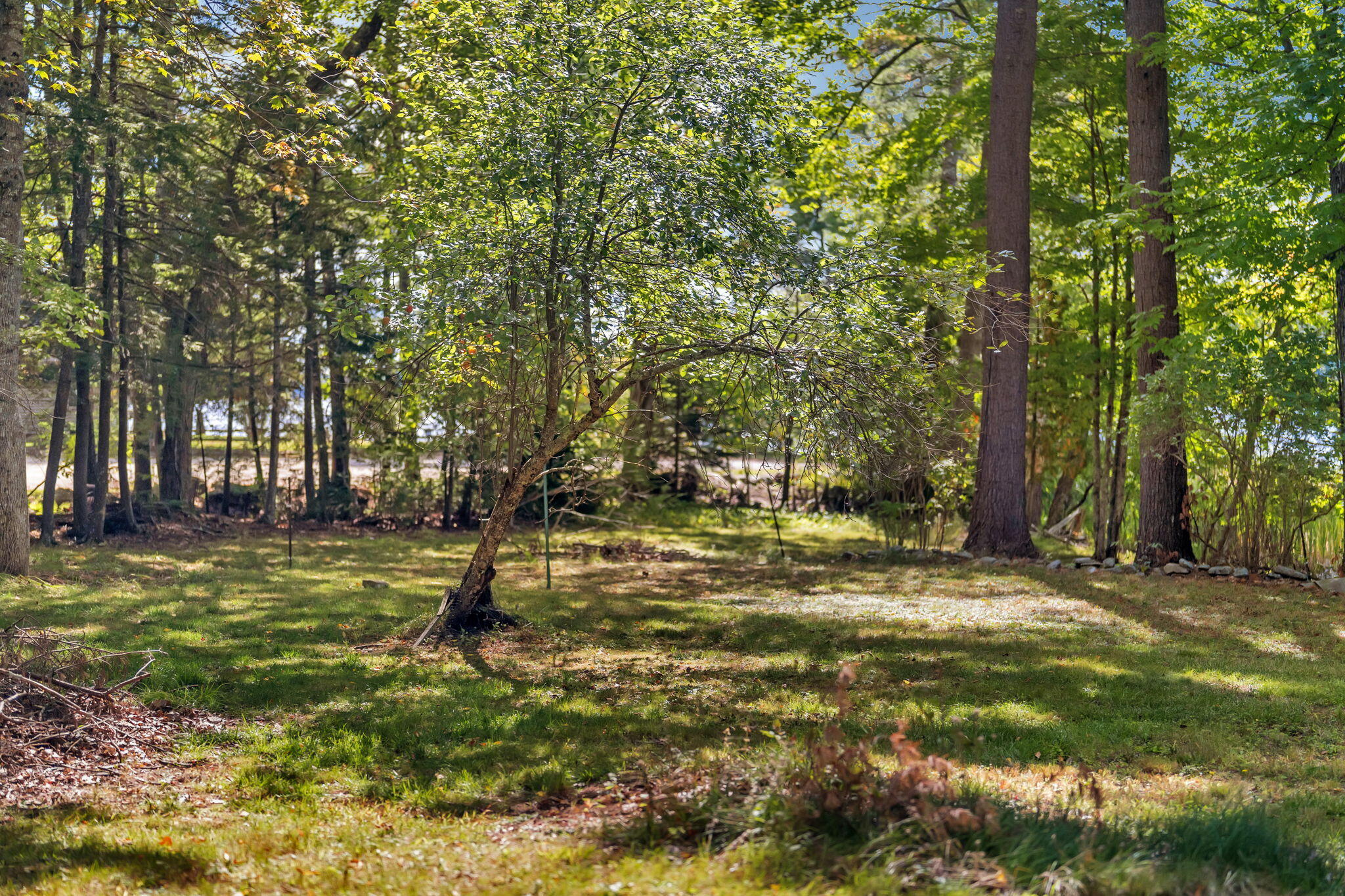 221 Soper Road Property Photo 81