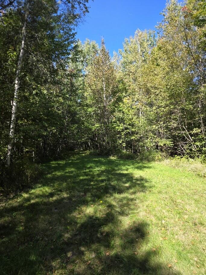Off Station Road N Property Photo 6