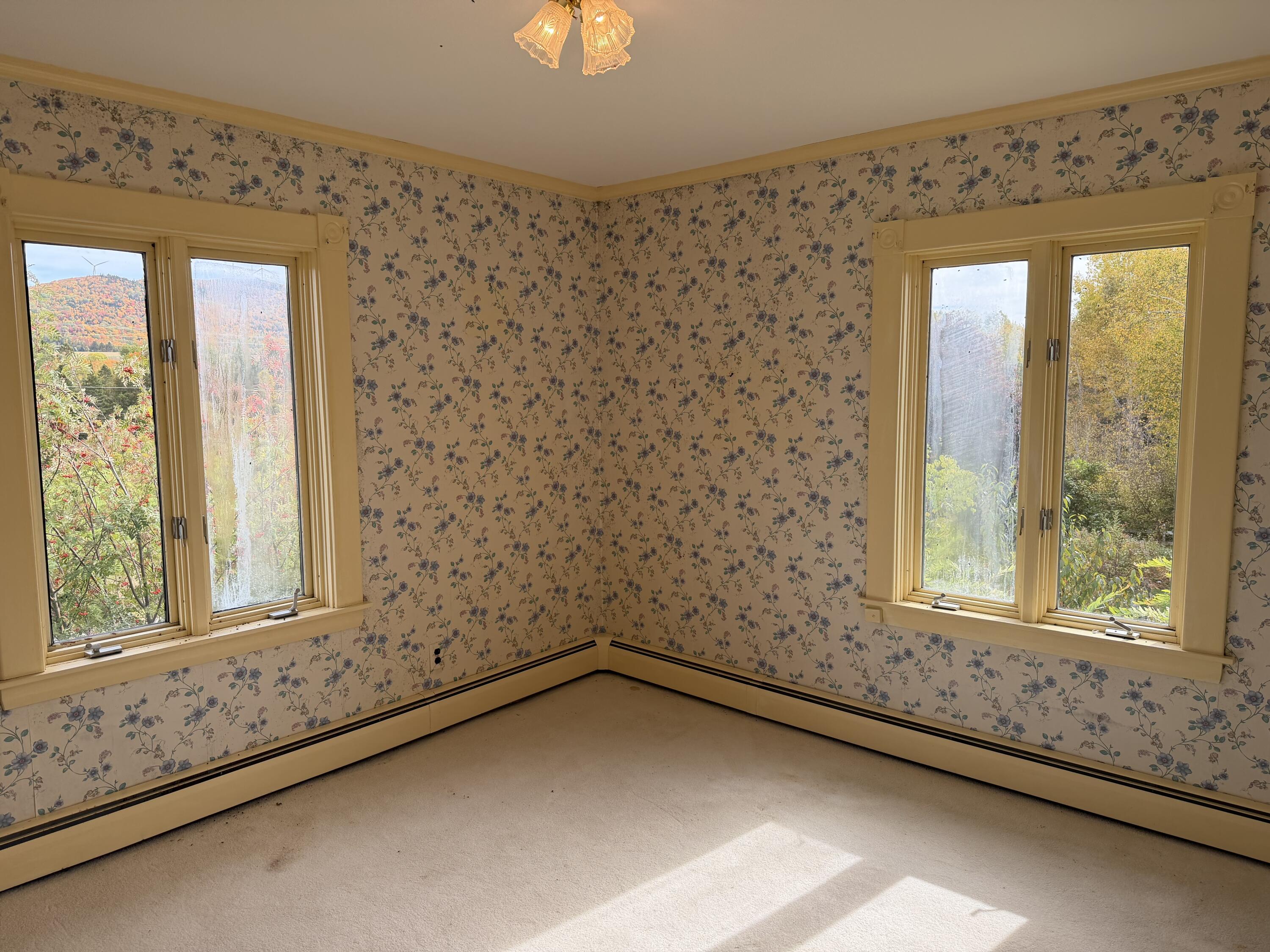 98 Kearney Road Property Photo 28