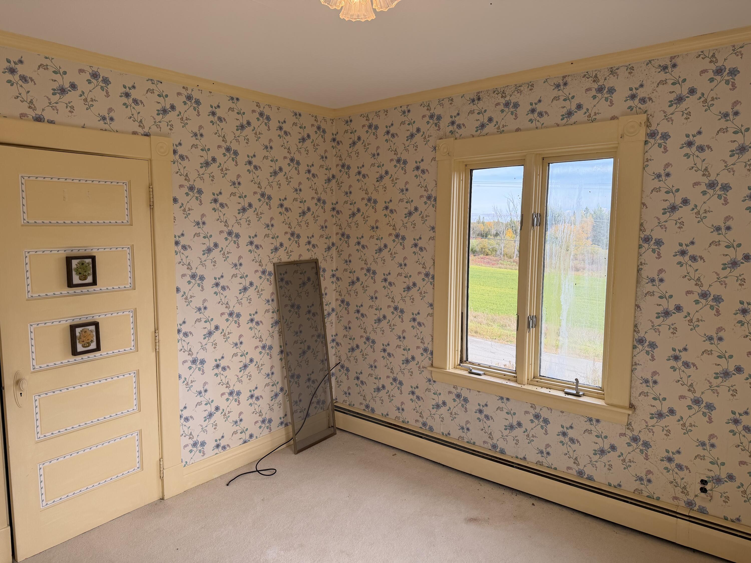 98 Kearney Road Property Photo 29