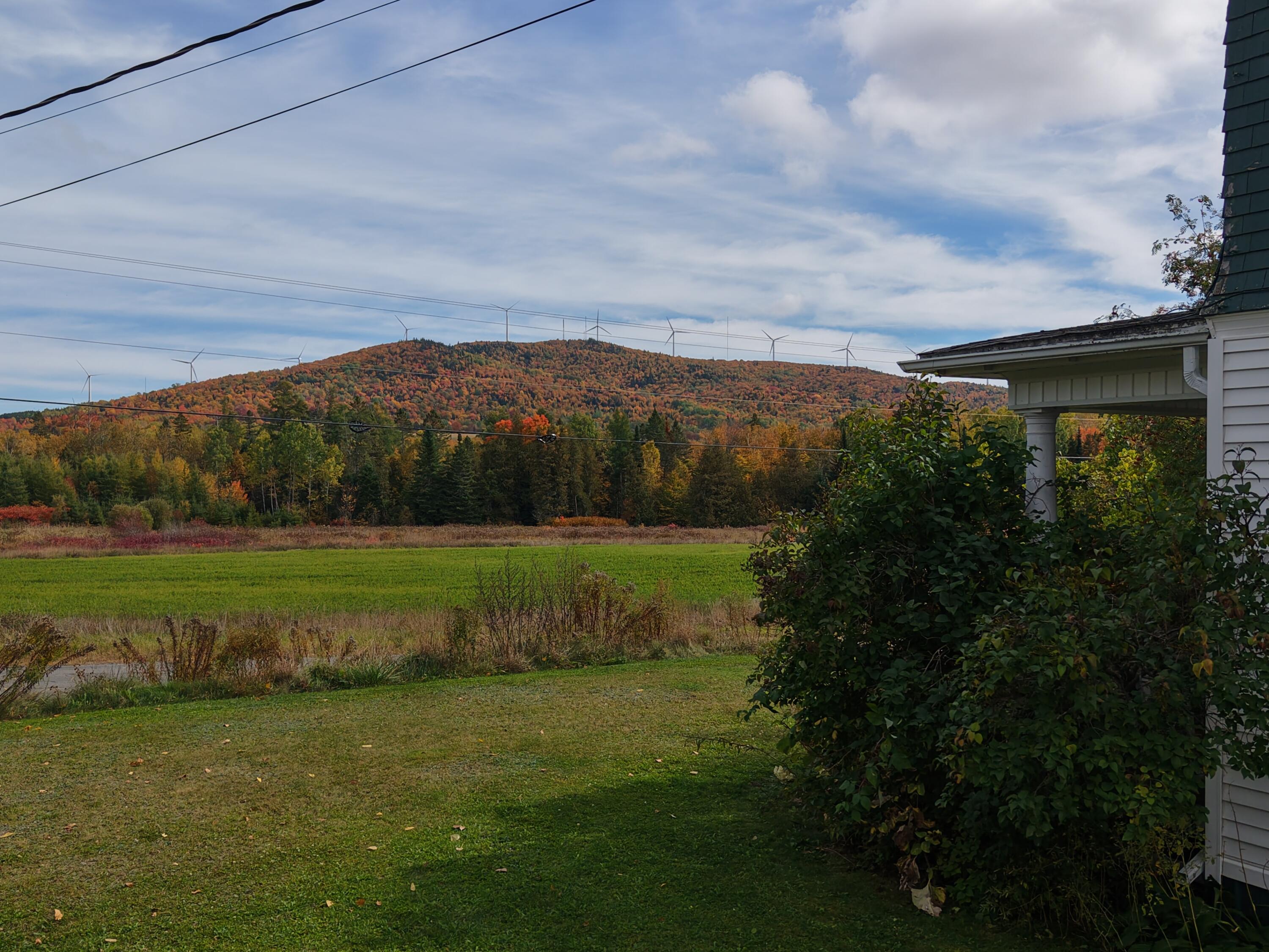 98 Kearney Road Property Photo 48