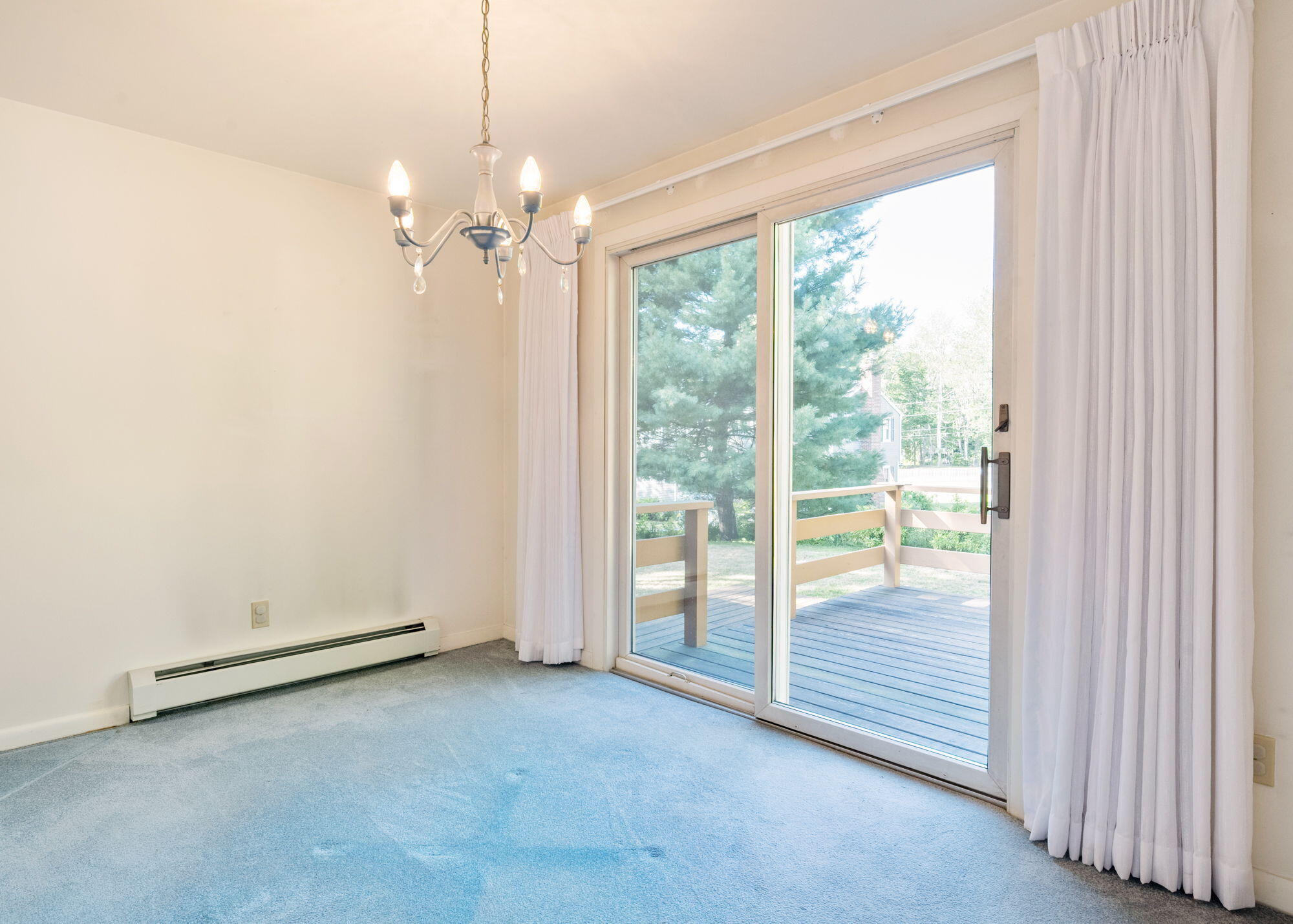 9 Elmwood Avenue Property Photo 25