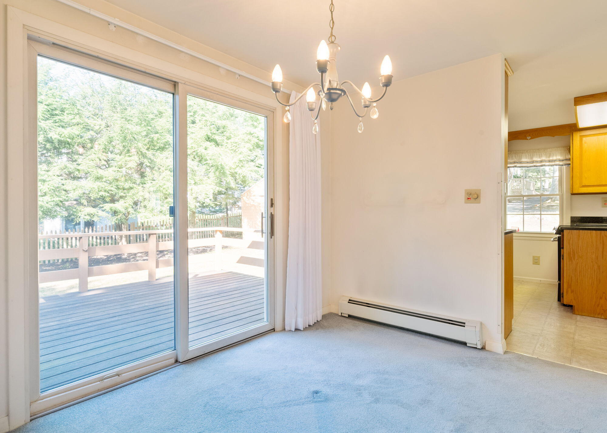 9 Elmwood Avenue Property Photo 26