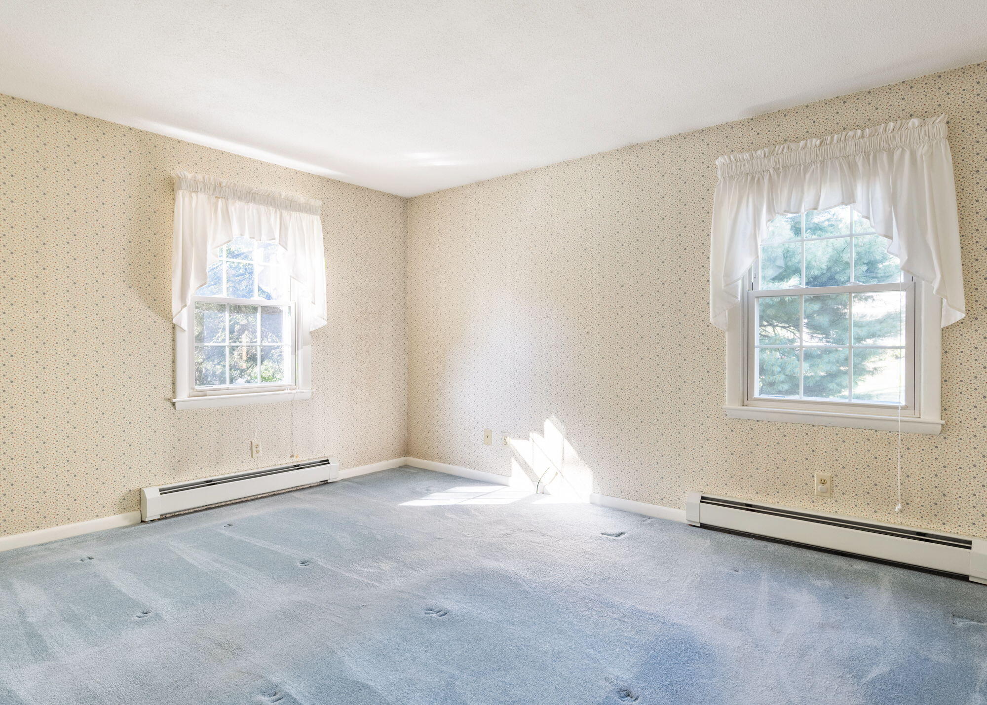 9 Elmwood Avenue Property Photo 28