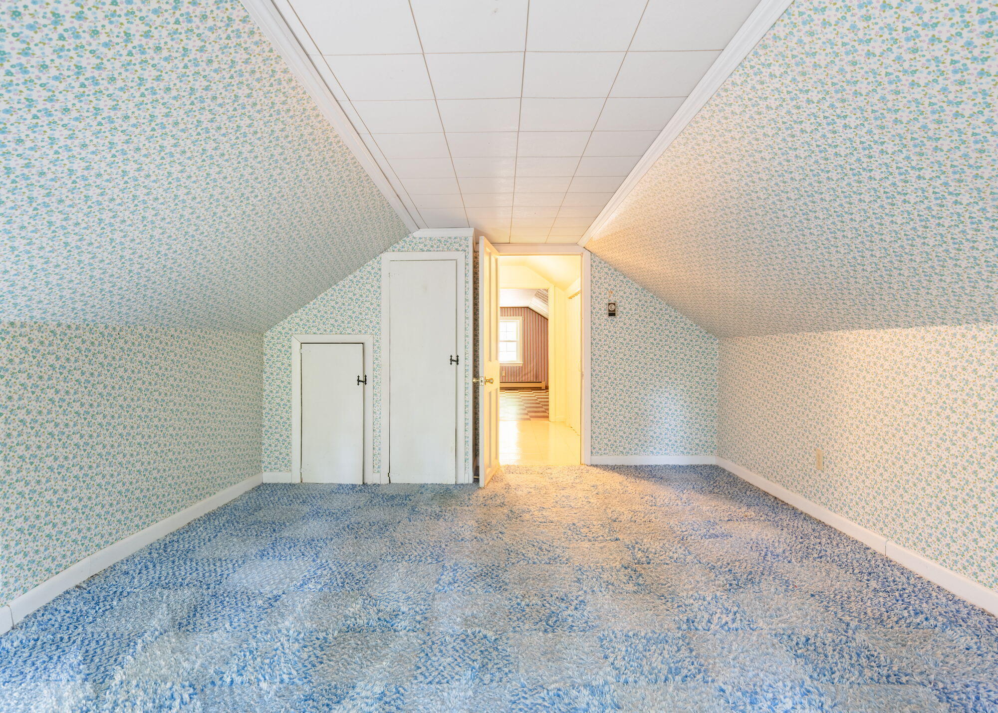 9 Elmwood Avenue Property Photo 37