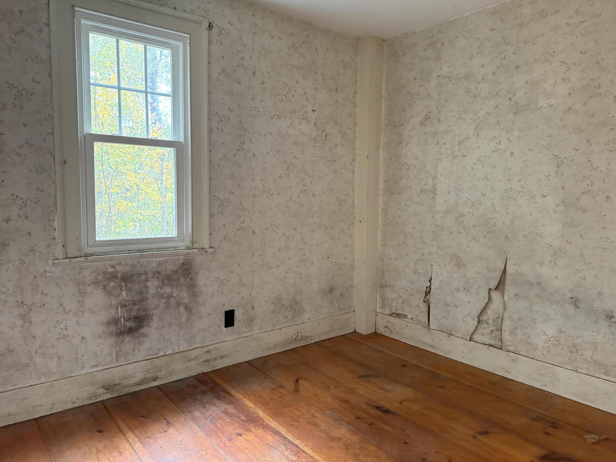 63 Boothby Road Property Photo 19