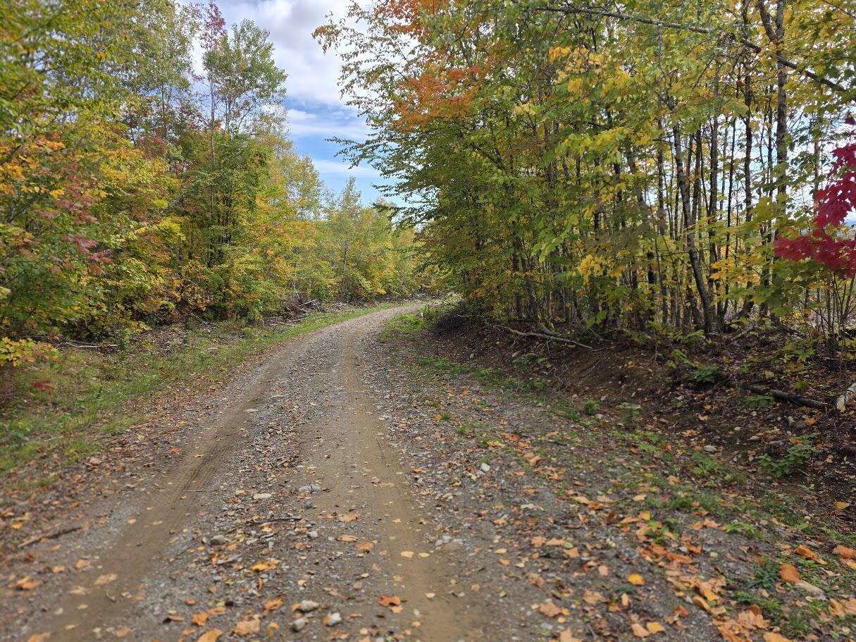 M 12 L 33 Vinegar Hill Road Property Photo 4