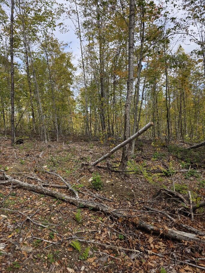 M 12 L 33 Vinegar Hill Road Property Photo 9