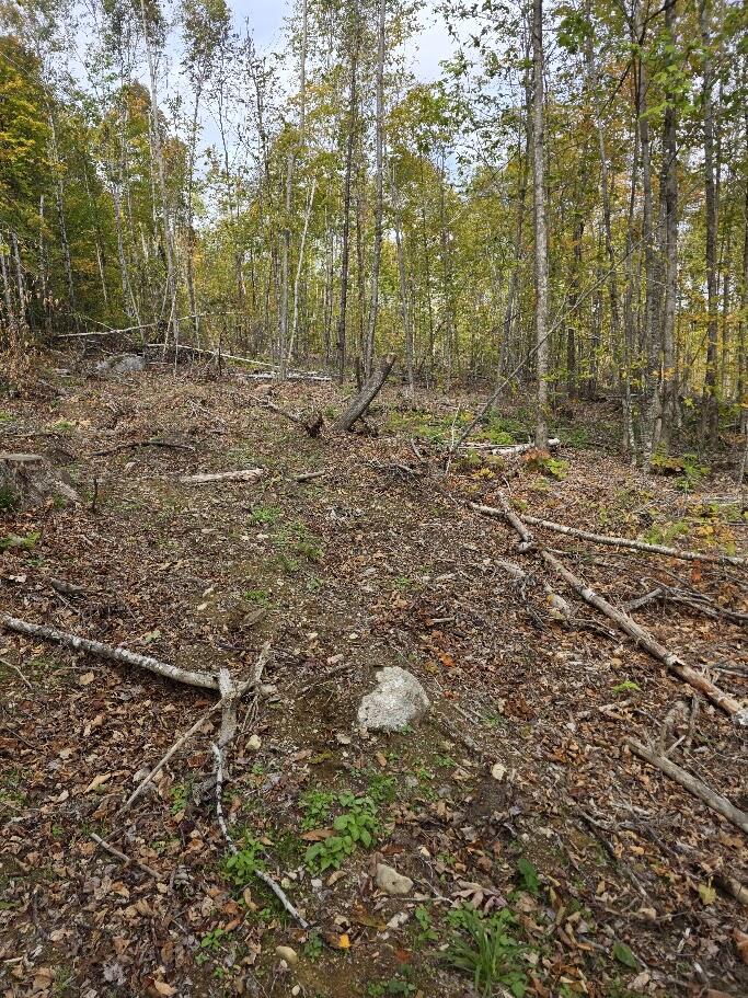 M 12 L 33 Vinegar Hill Road Property Photo 10