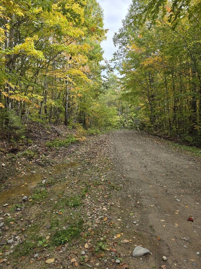 M 12 L 33 Vinegar Hill Road Property Photo 15