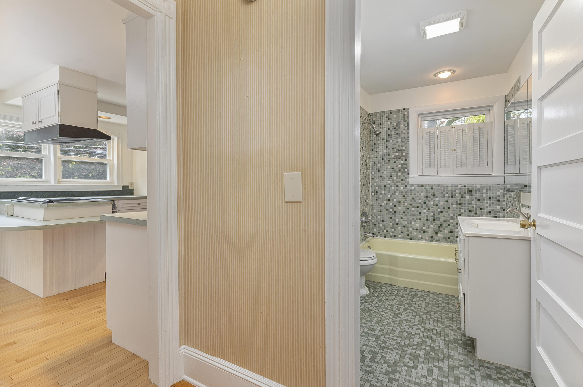 44 Warren Avenue Property Photo 19