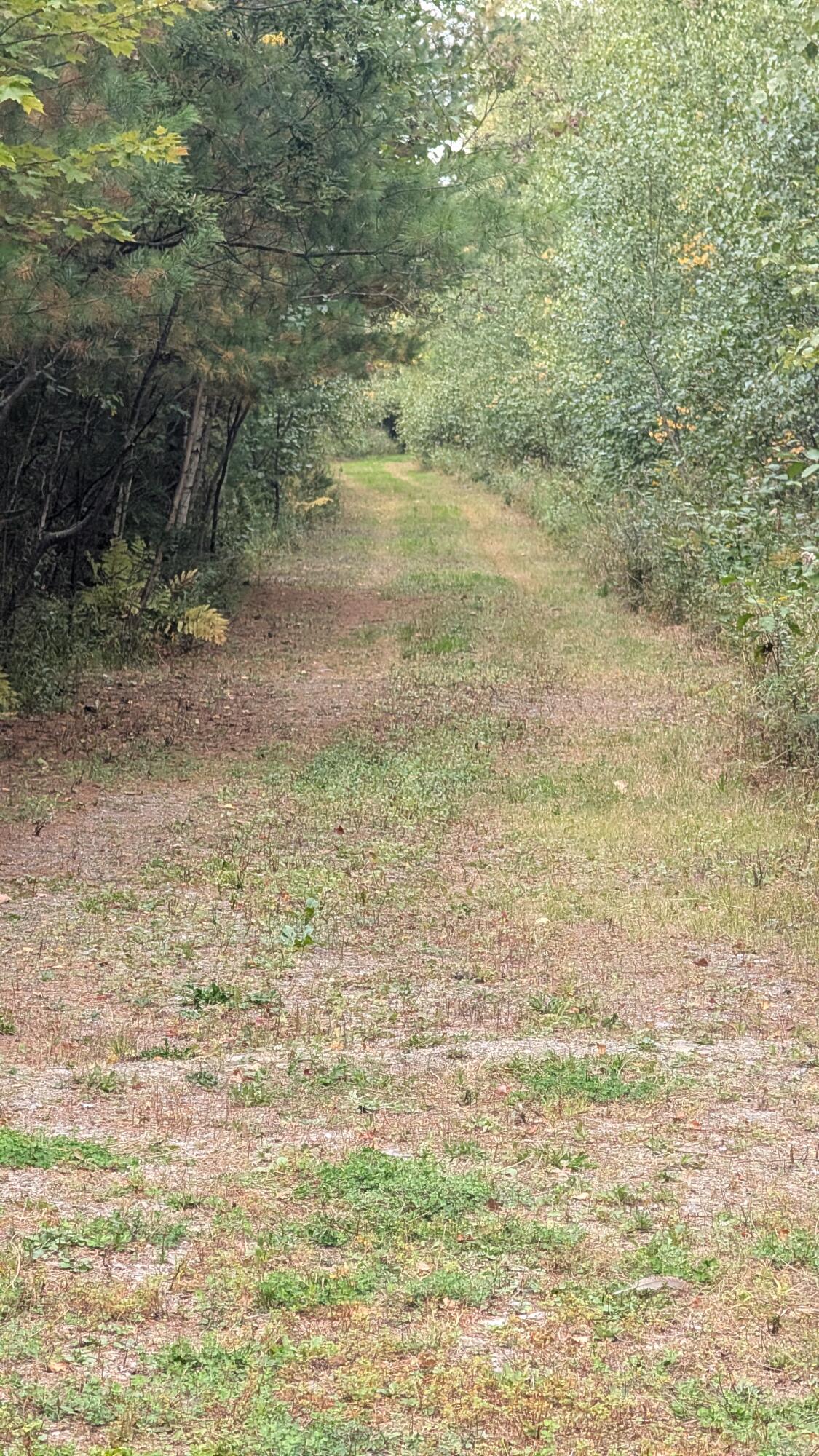 Lot 19 Cram Street Property Photo 1