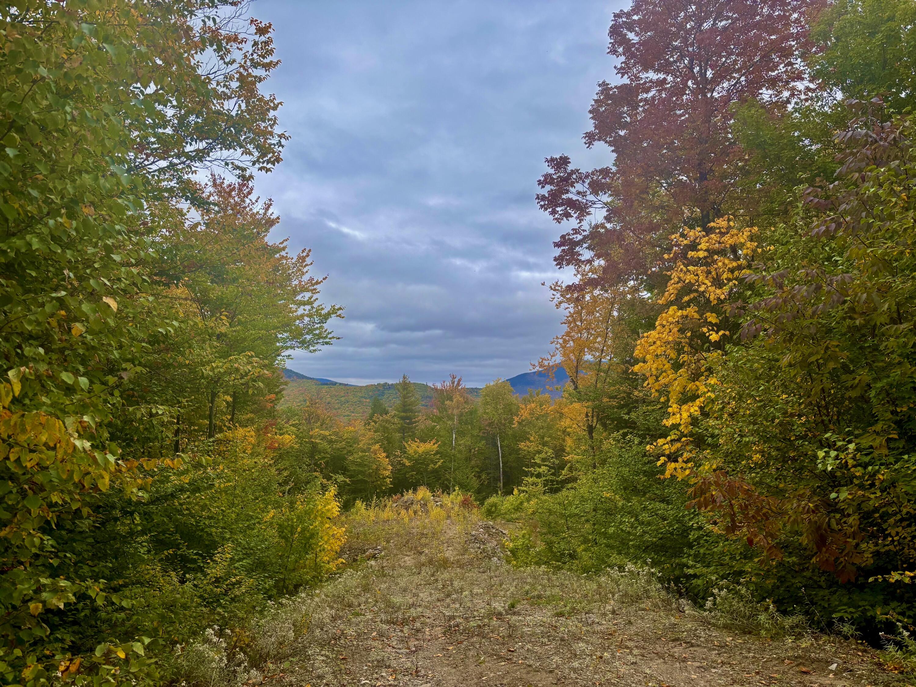 Lot 53 Tourmaline Way Property Photo 4