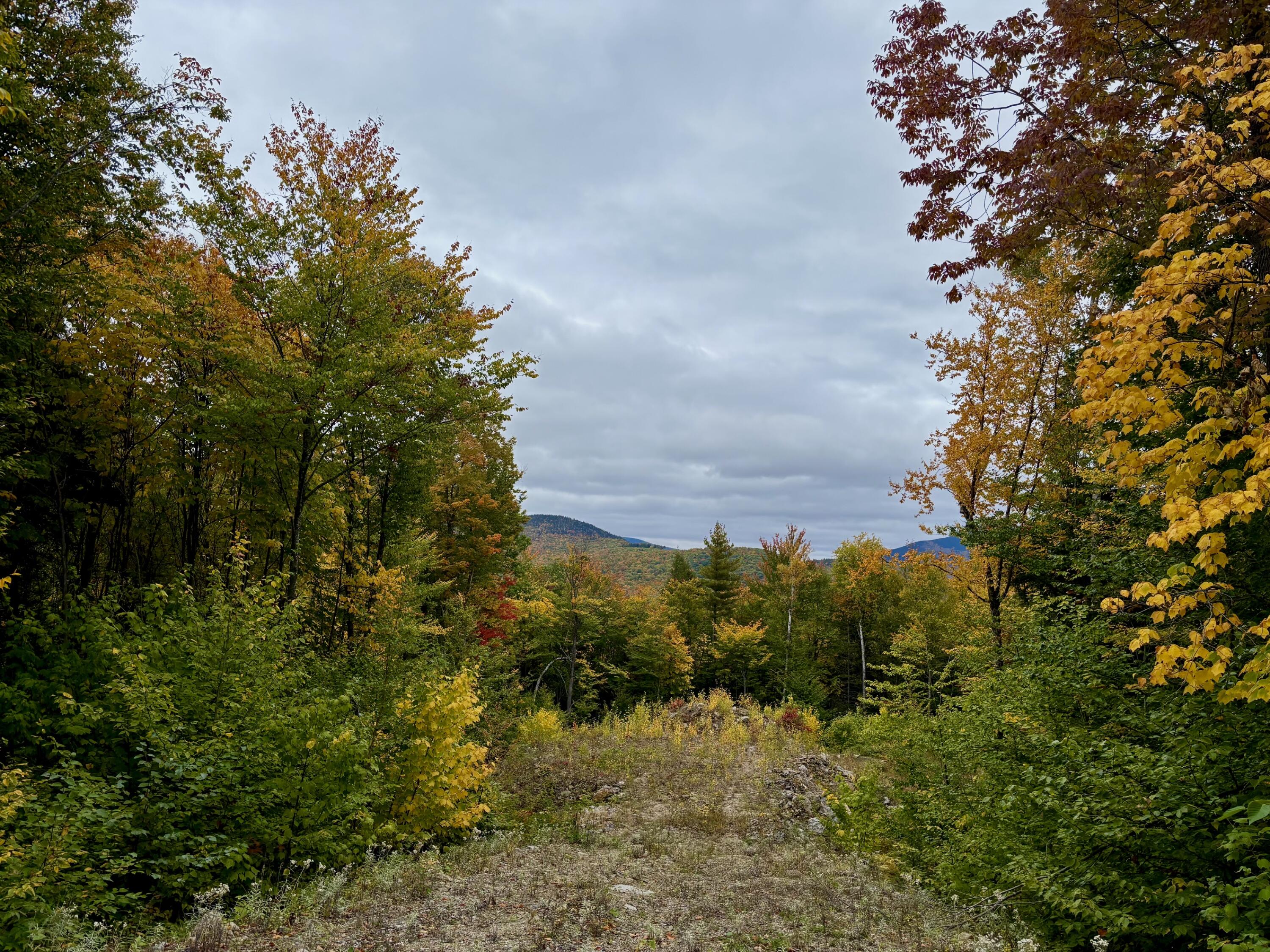 Lot 53 Tourmaline Way Property Photo 5