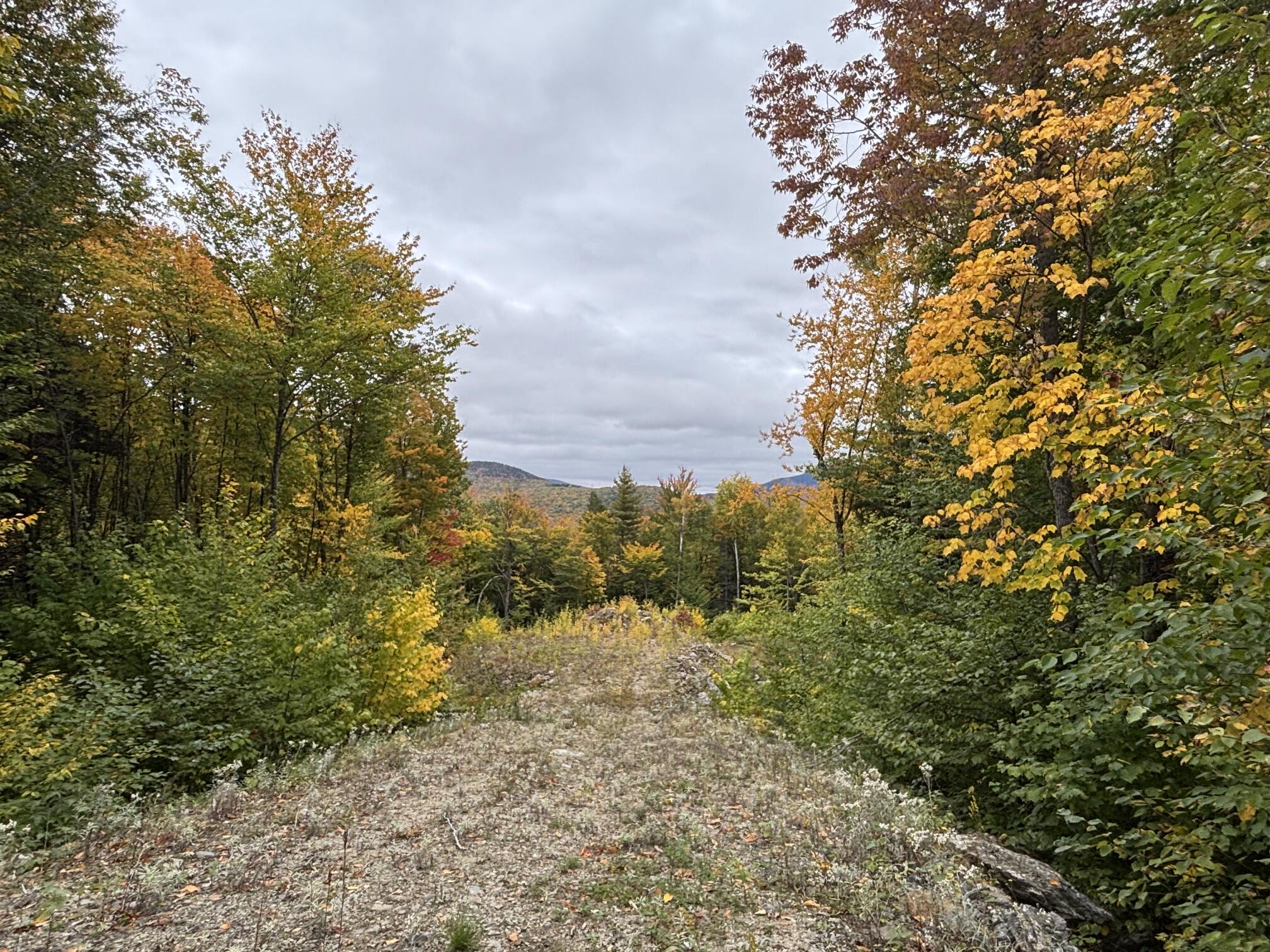 Lot 53 Tourmaline Way Property Photo 6