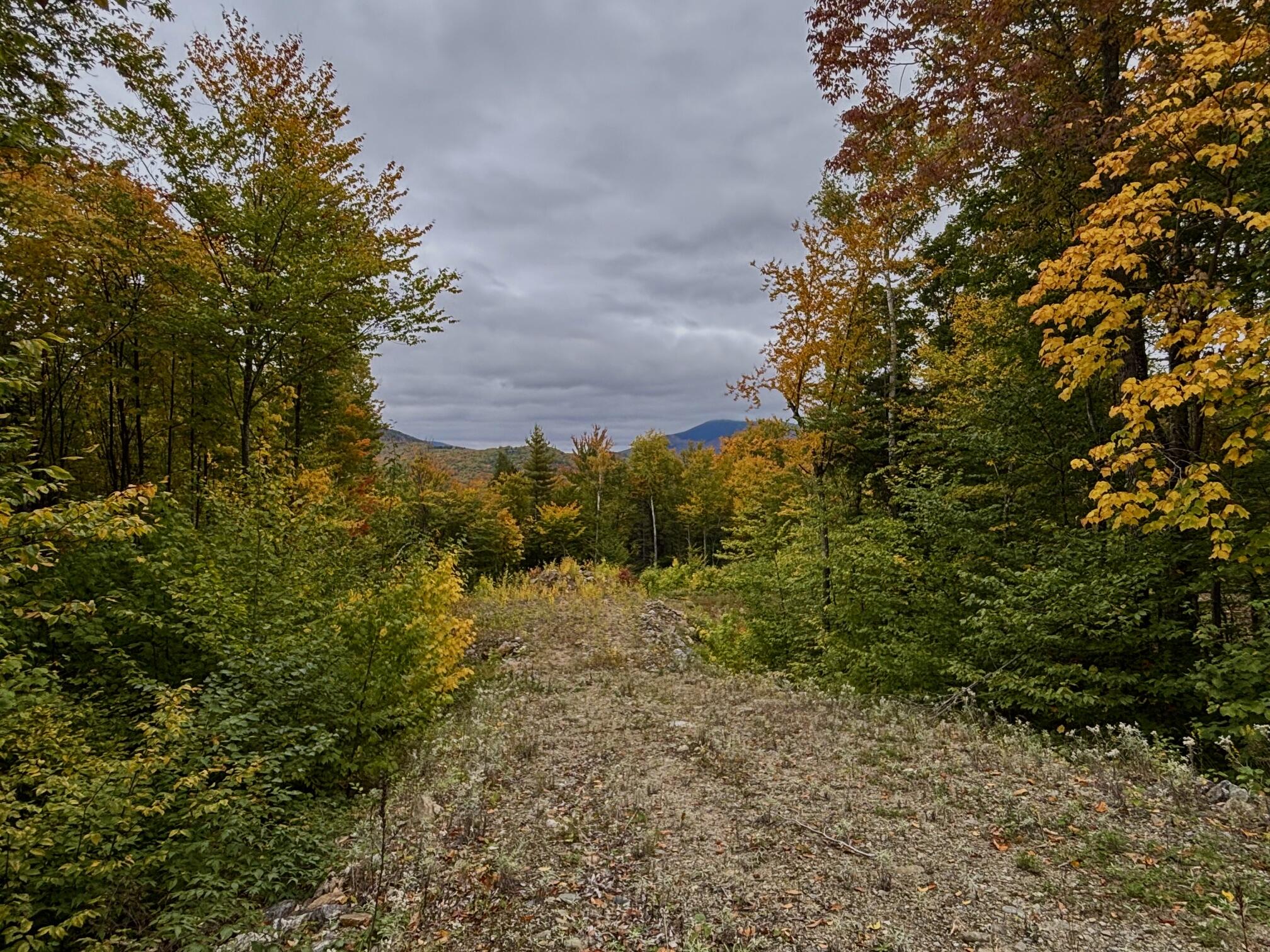 Lot 53 Tourmaline Way Property Photo 7