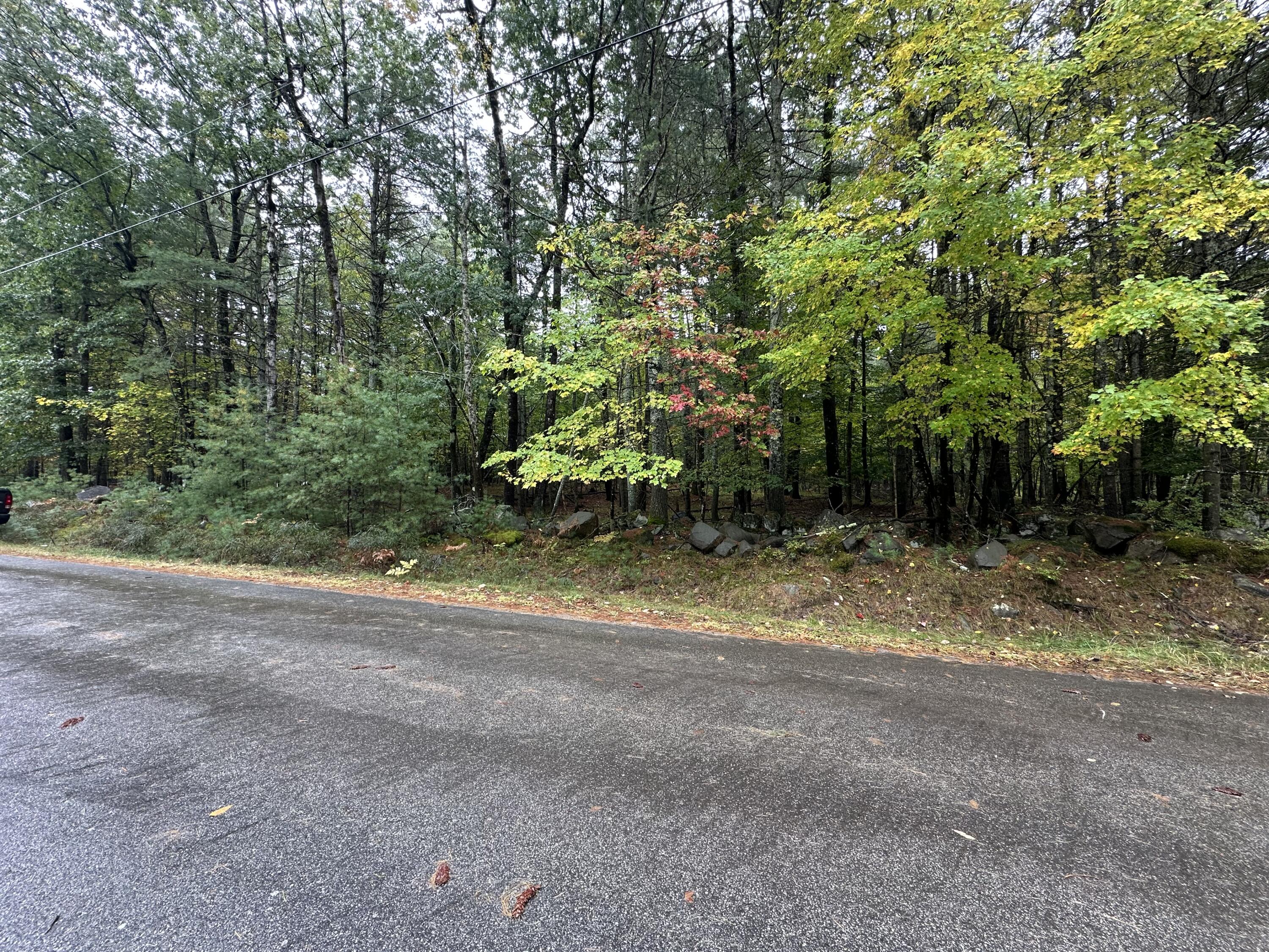 Lot 61.3 Sand Pond Road Property Photo 1
