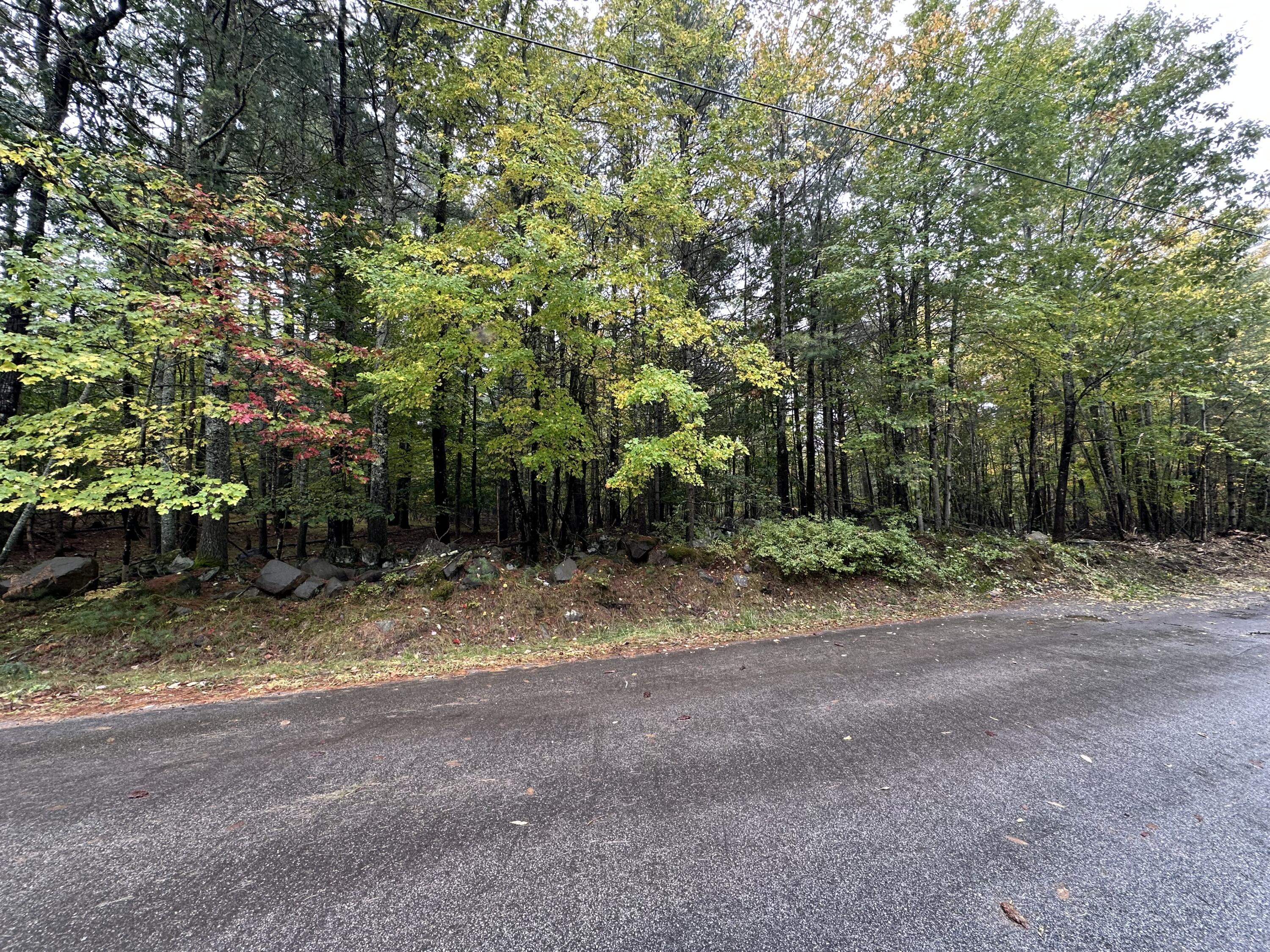 Lot 61.3 Sand Pond Road Property Photo 2
