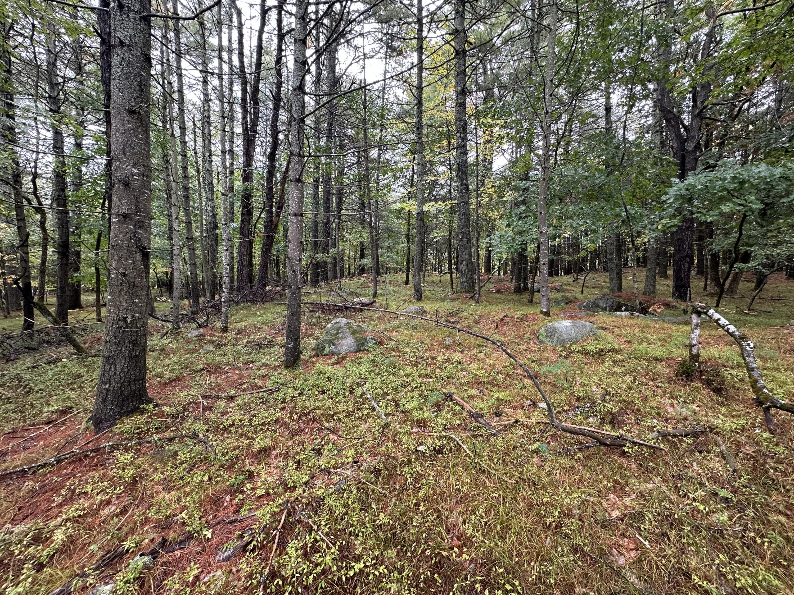 Lot 61.3 Sand Pond Road Property Photo 3