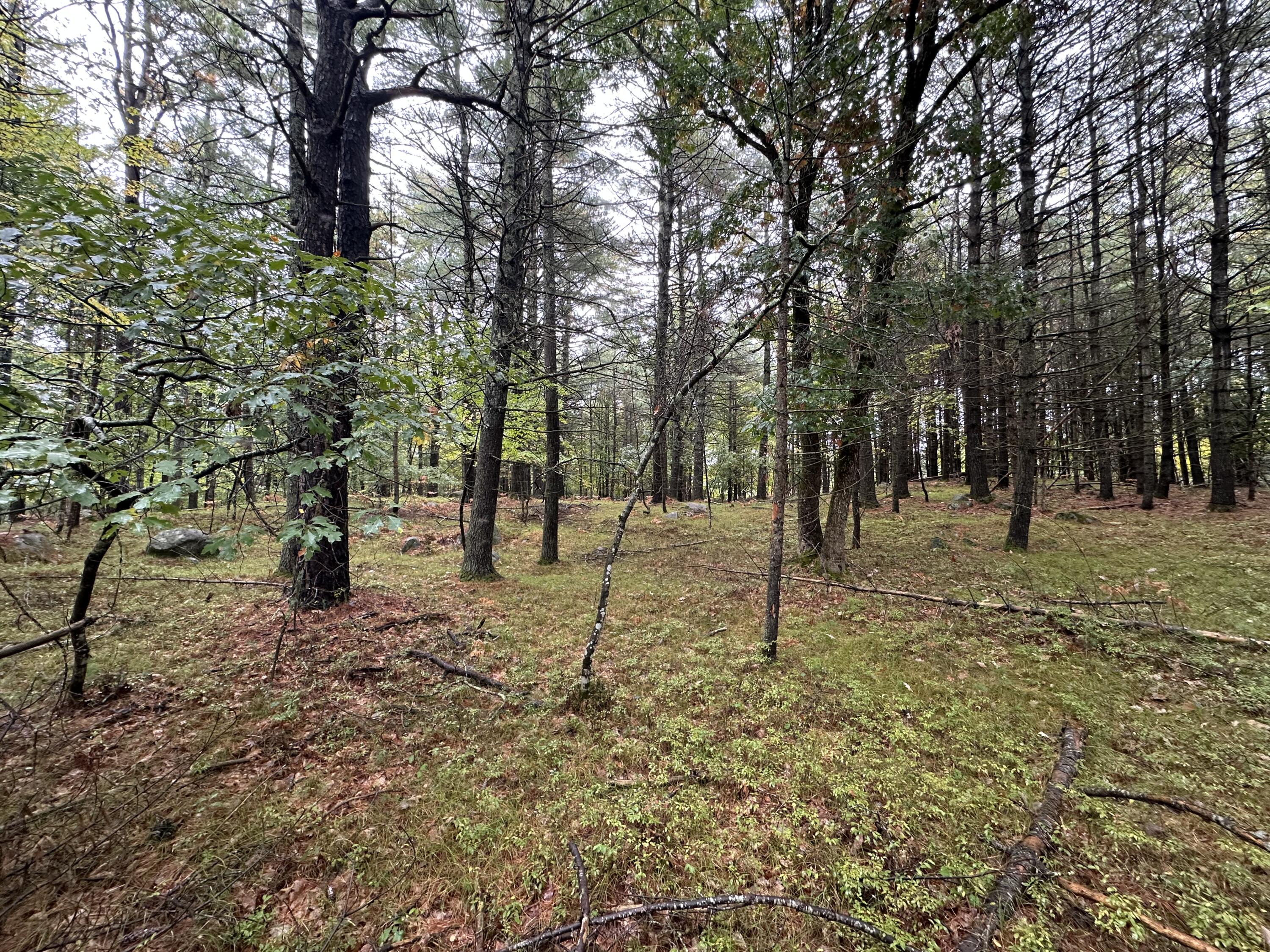 Lot 61.3 Sand Pond Road Property Photo 4