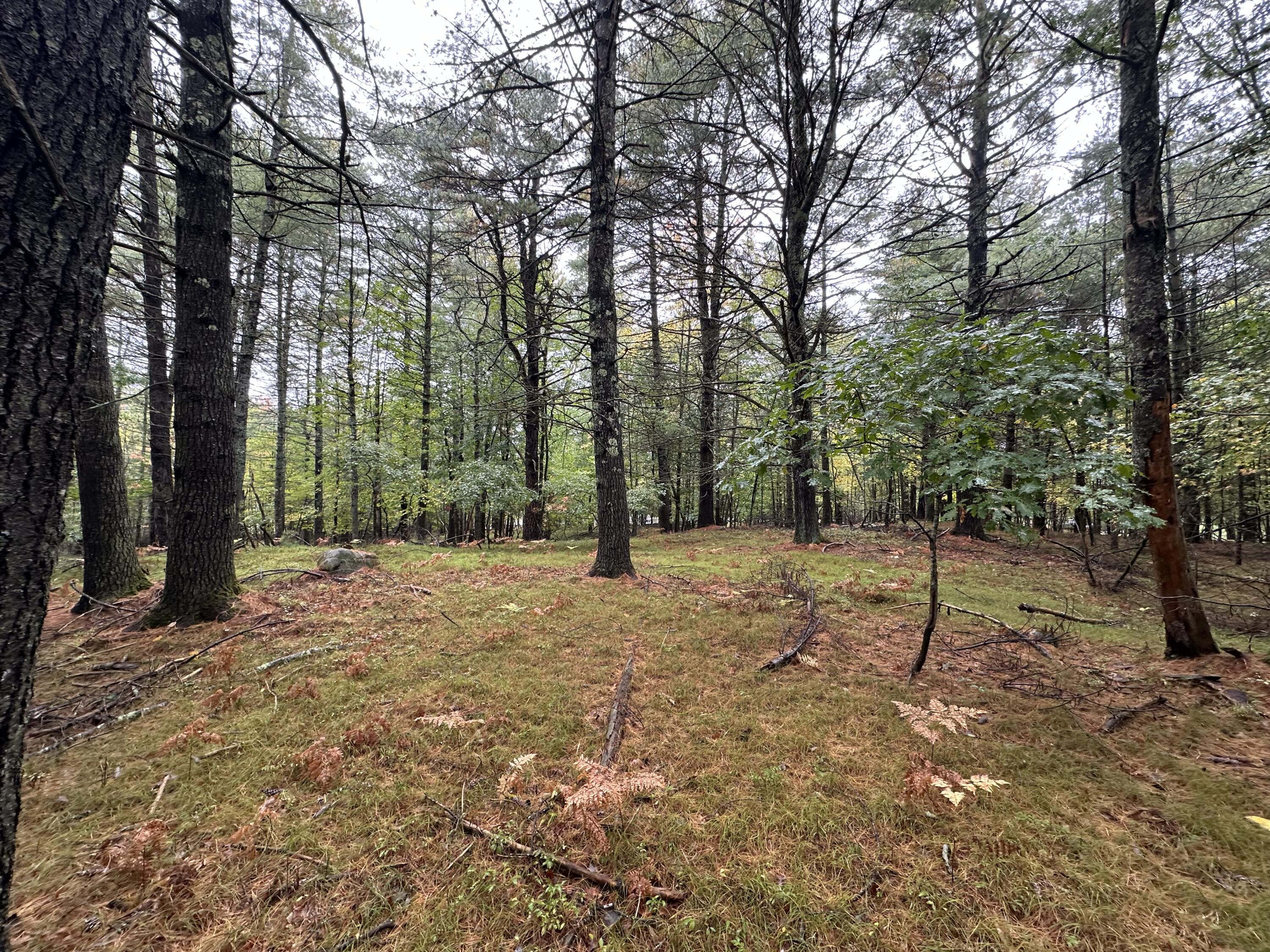 Lot 61.3 Sand Pond Road Property Photo 5