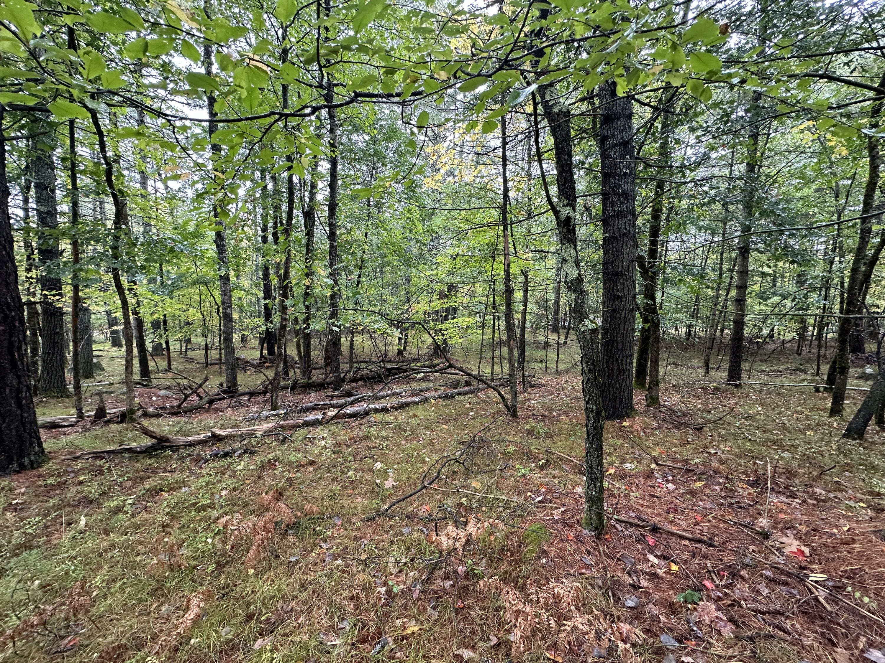 Lot 61.3 Sand Pond Road Property Photo 6