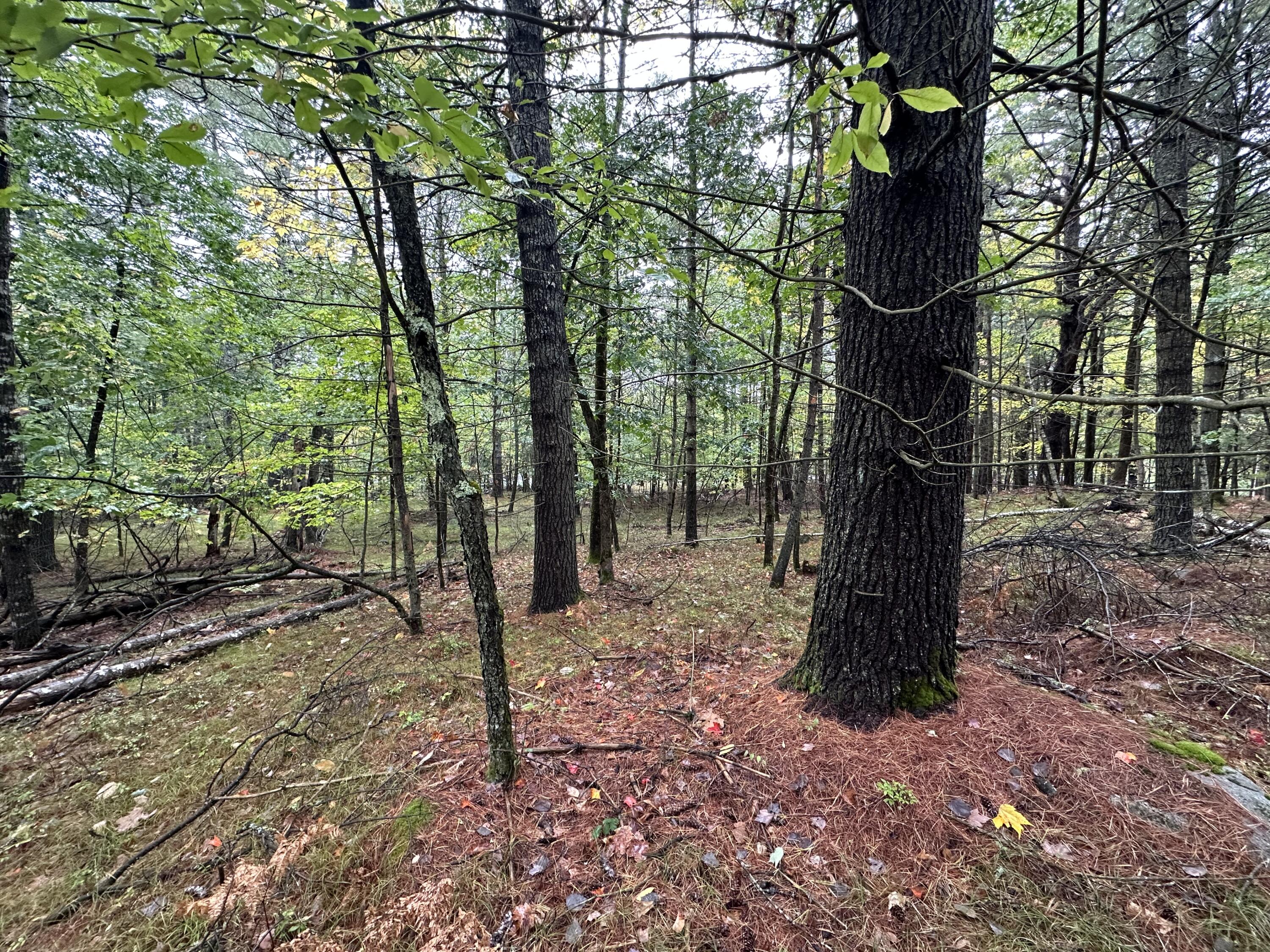 Lot 61.3 Sand Pond Road Property Photo 7