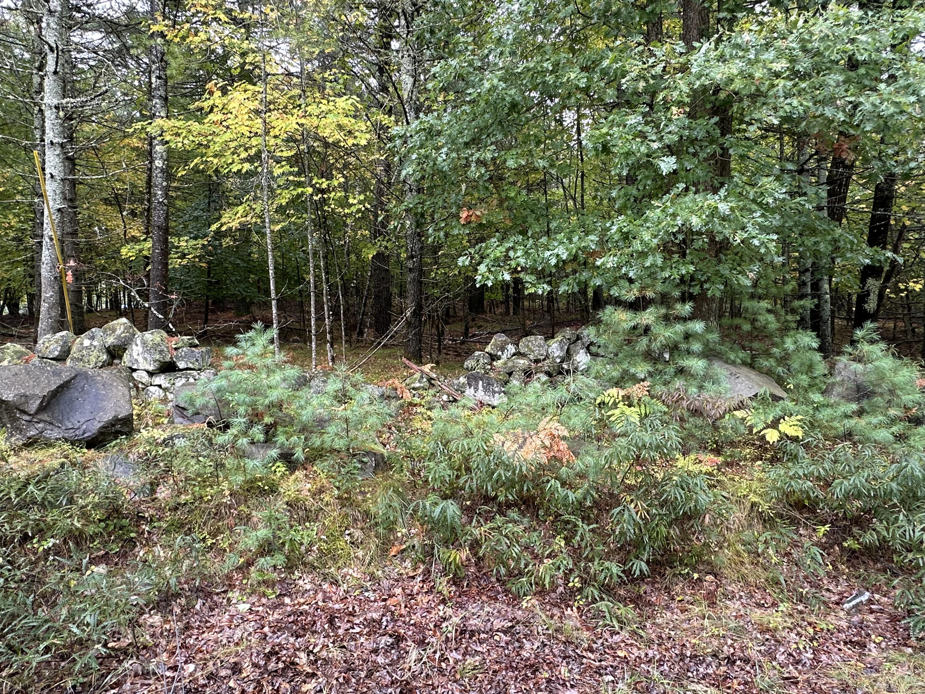 Lot 61.3 Sand Pond Road Property Photo 8