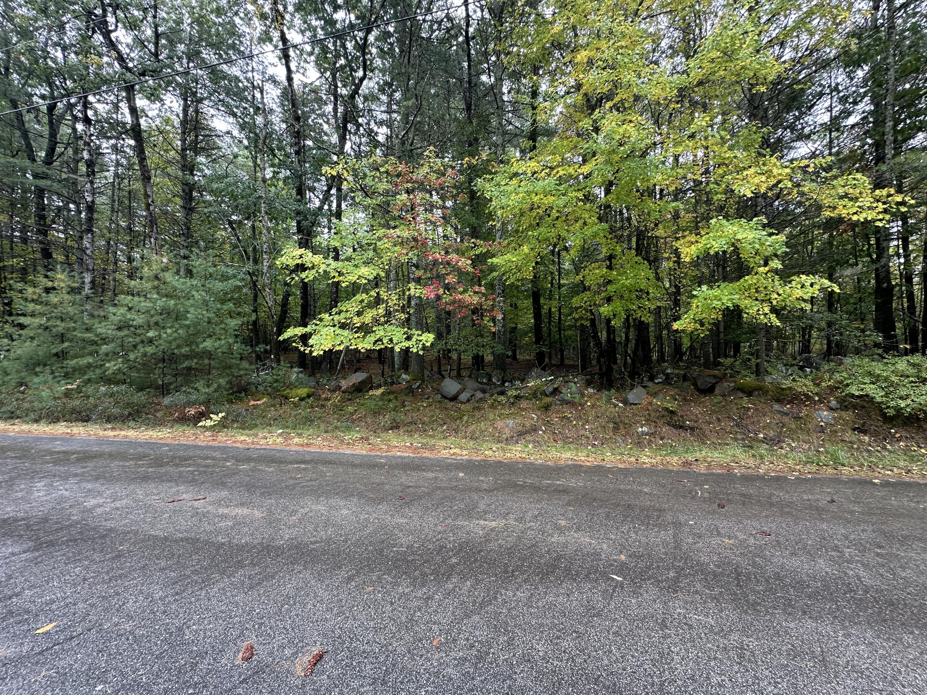 Lot 61.3 Sand Pond Road Property Photo 9