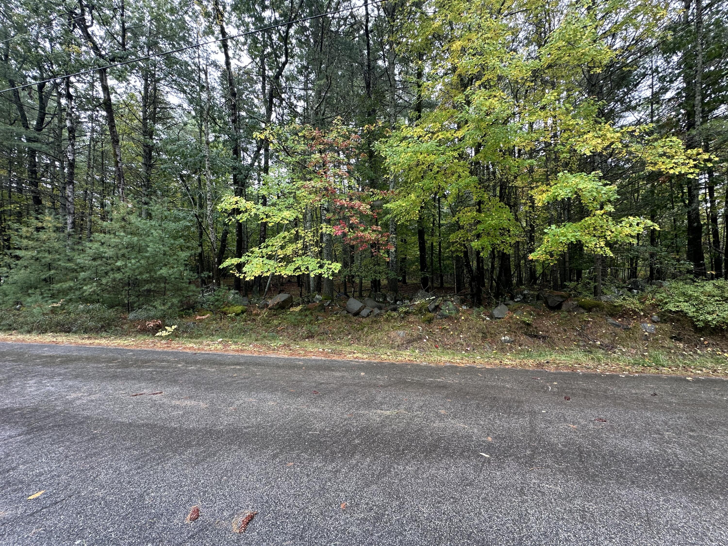 Lot 61.3 Sand Pond Road Property Photo 10