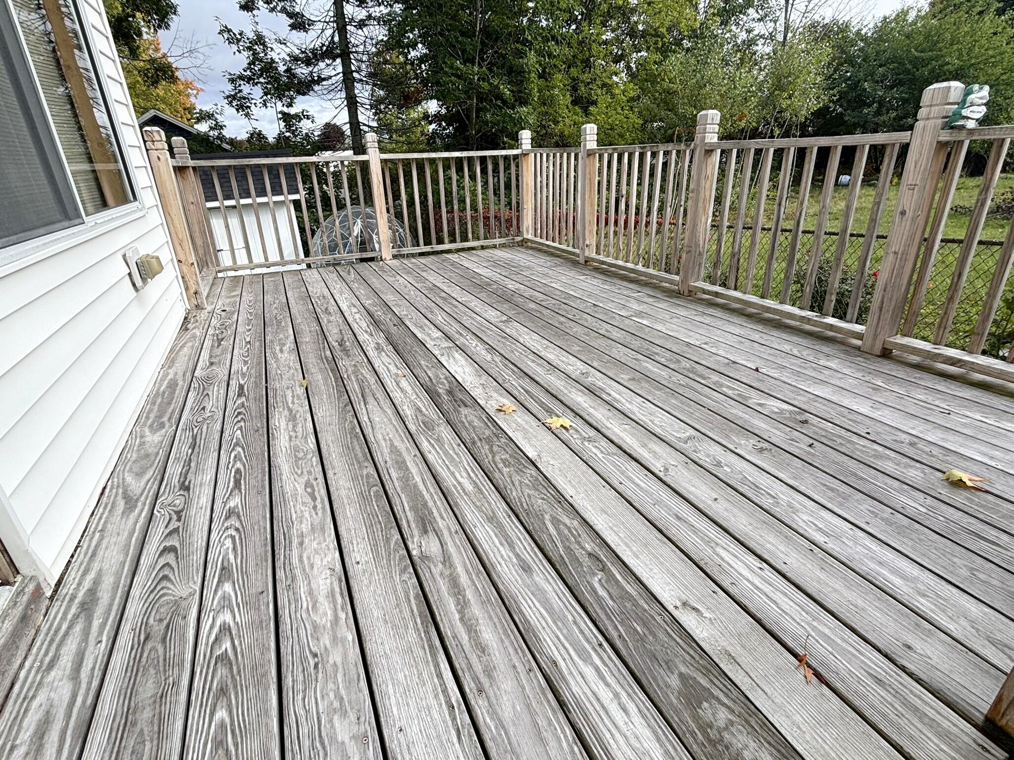 19 Jeffrey Street Property Photo 23