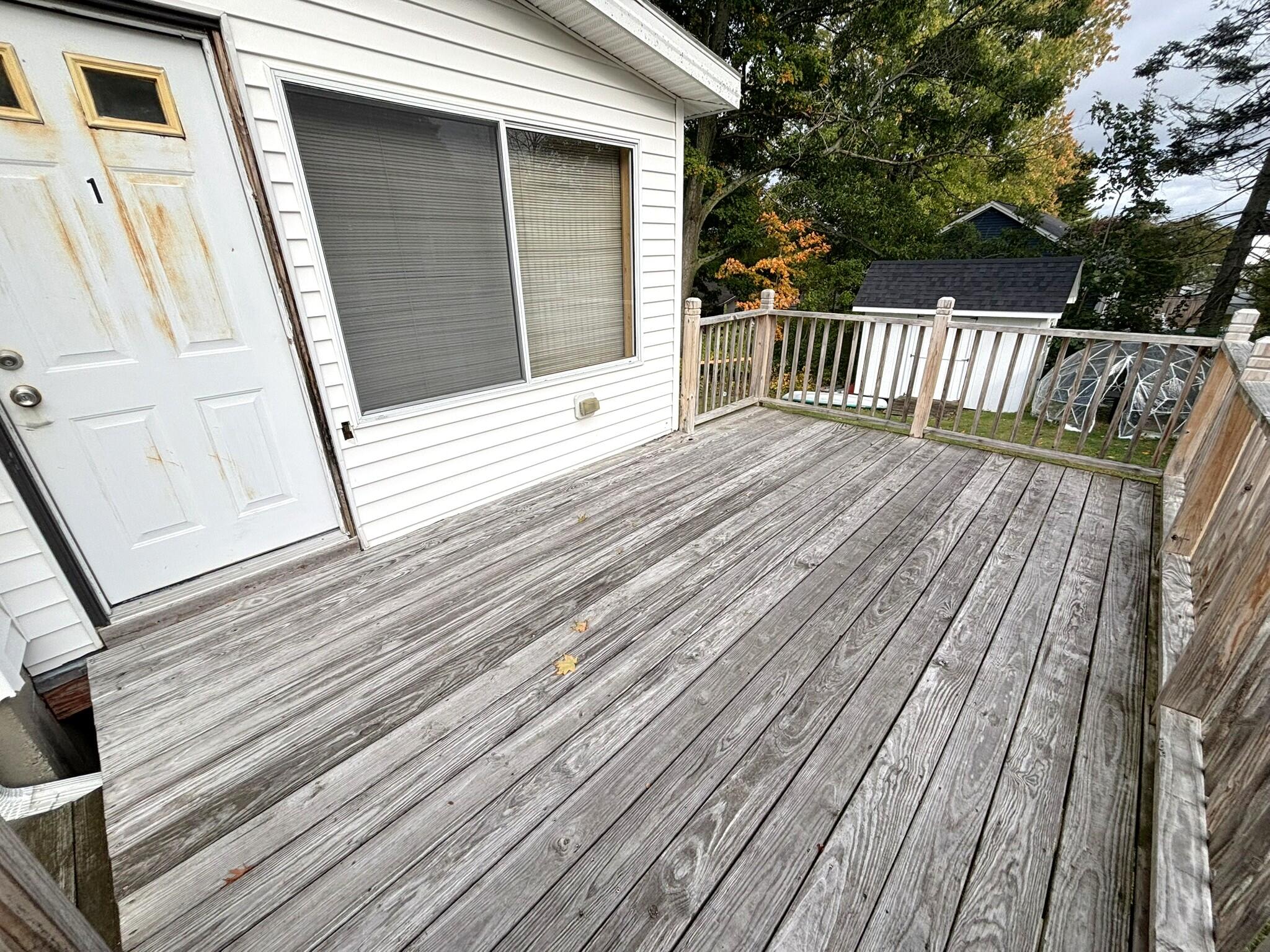 19 Jeffrey Street Property Photo 24