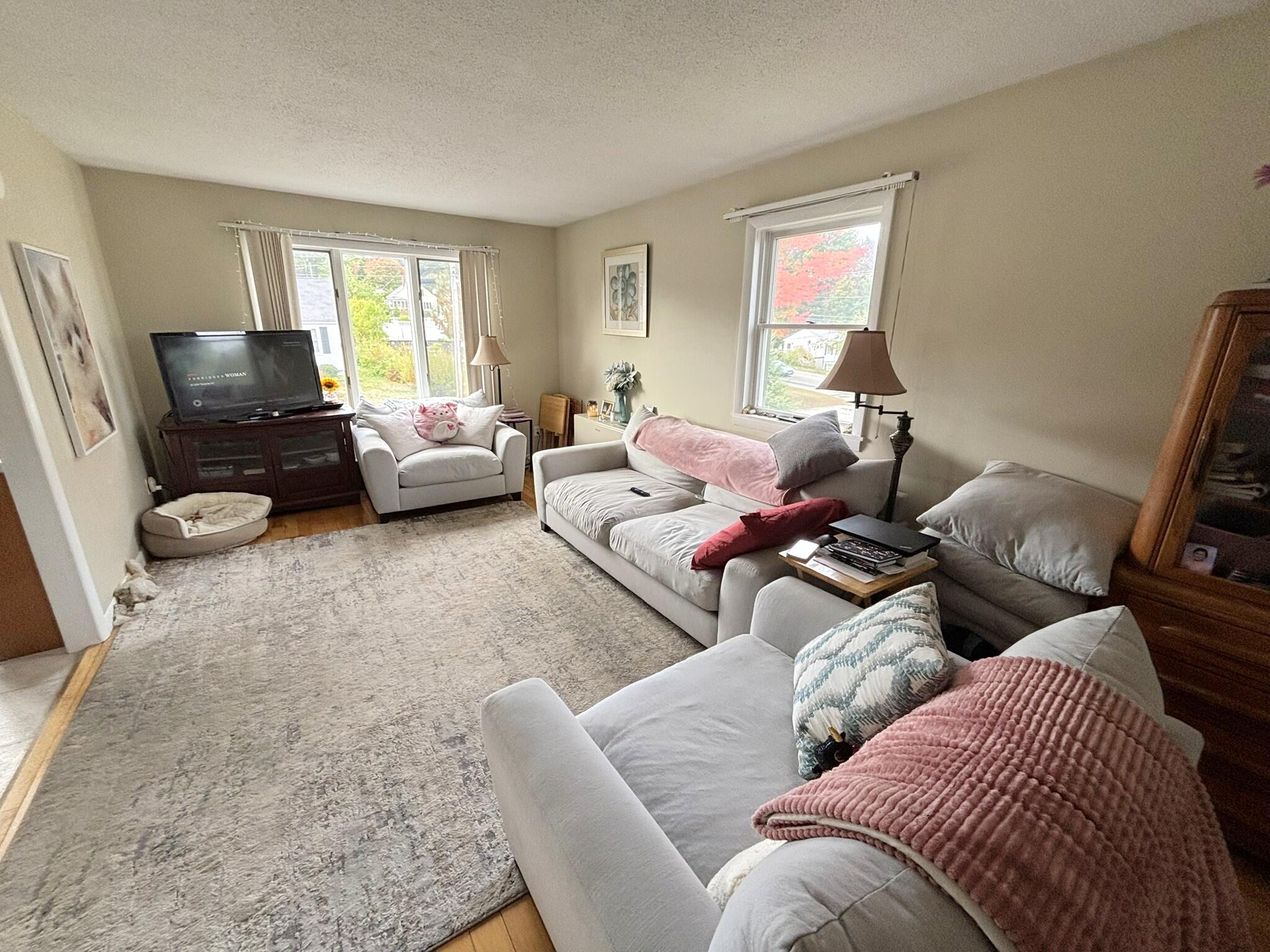 19 Jeffrey Street Property Photo 31