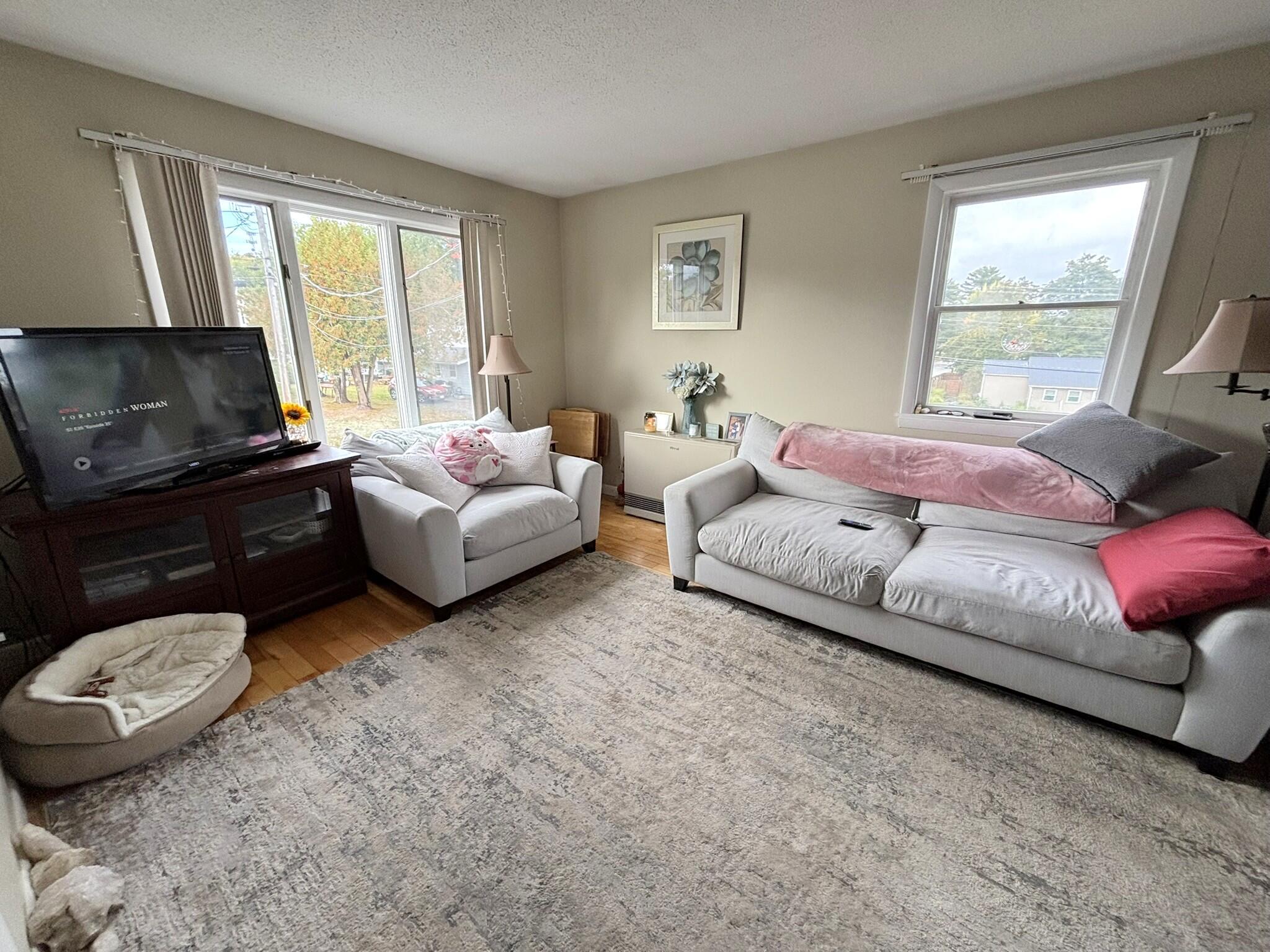 19 Jeffrey Street Property Photo 32