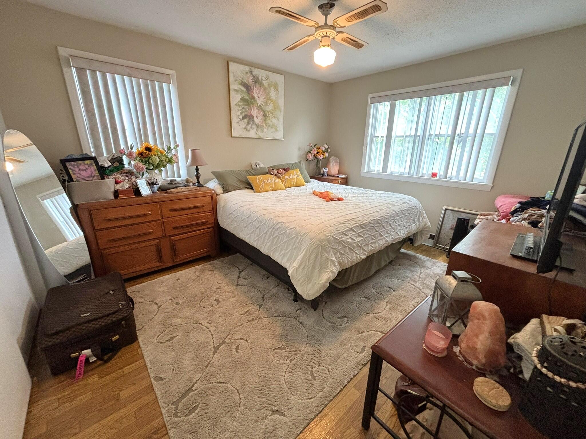 19 Jeffrey Street Property Photo 34