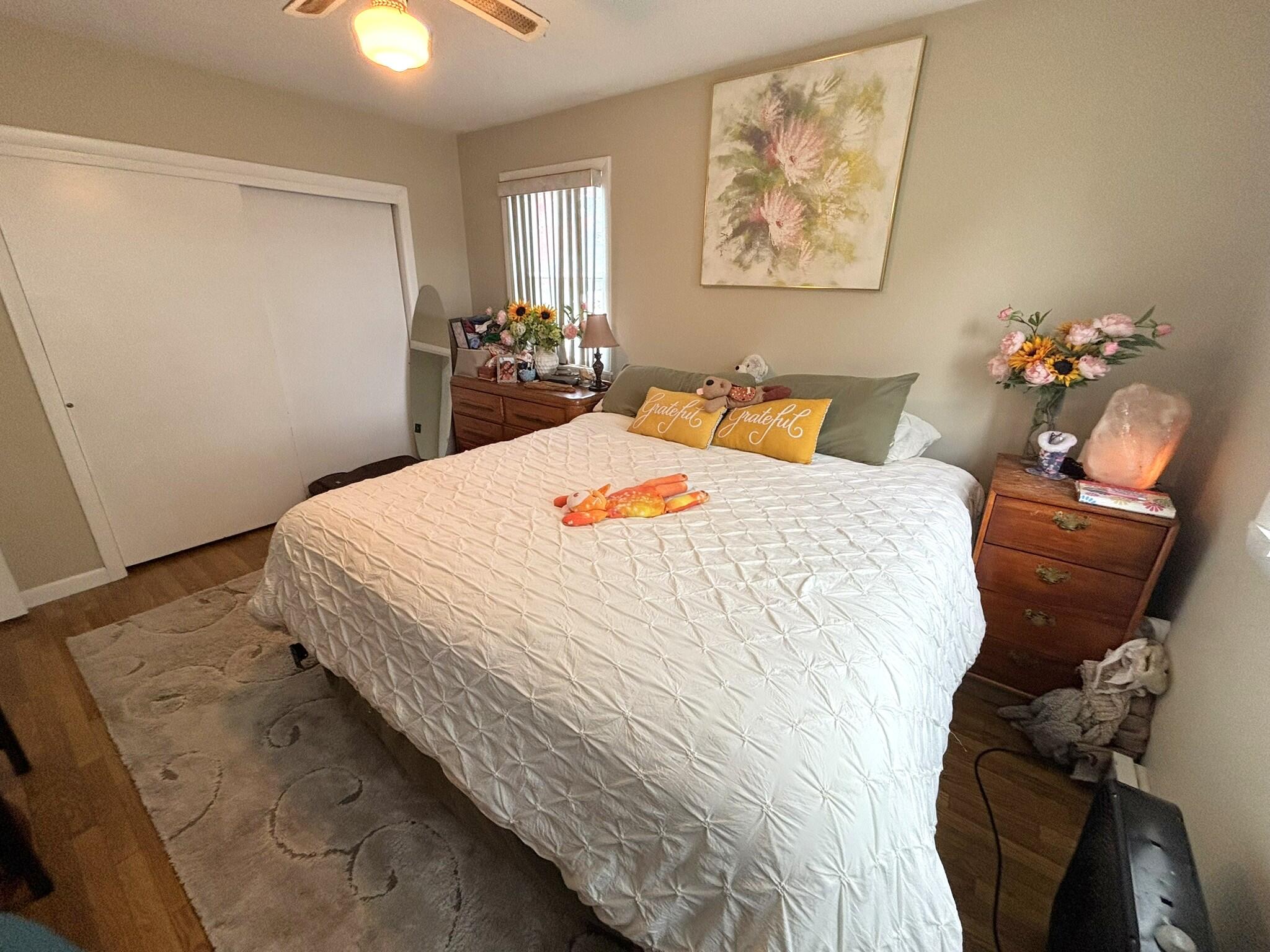 19 Jeffrey Street Property Photo 35