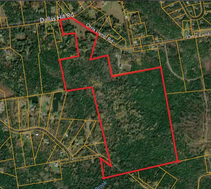 Lot#100 Dallas Hill Road Property Photo 3