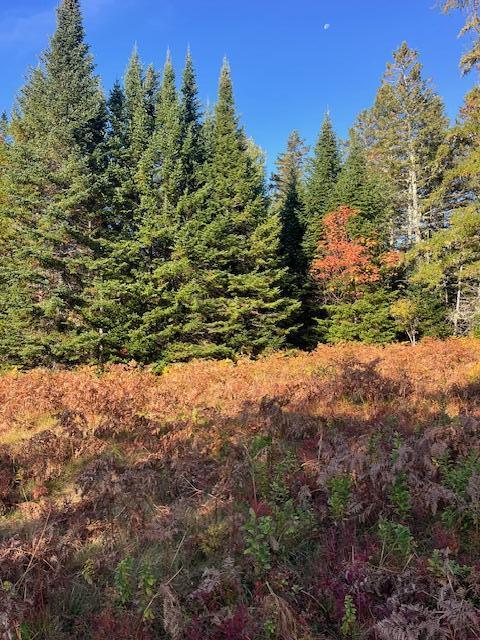 Lot#100 Dallas Hill Road Property Photo 8
