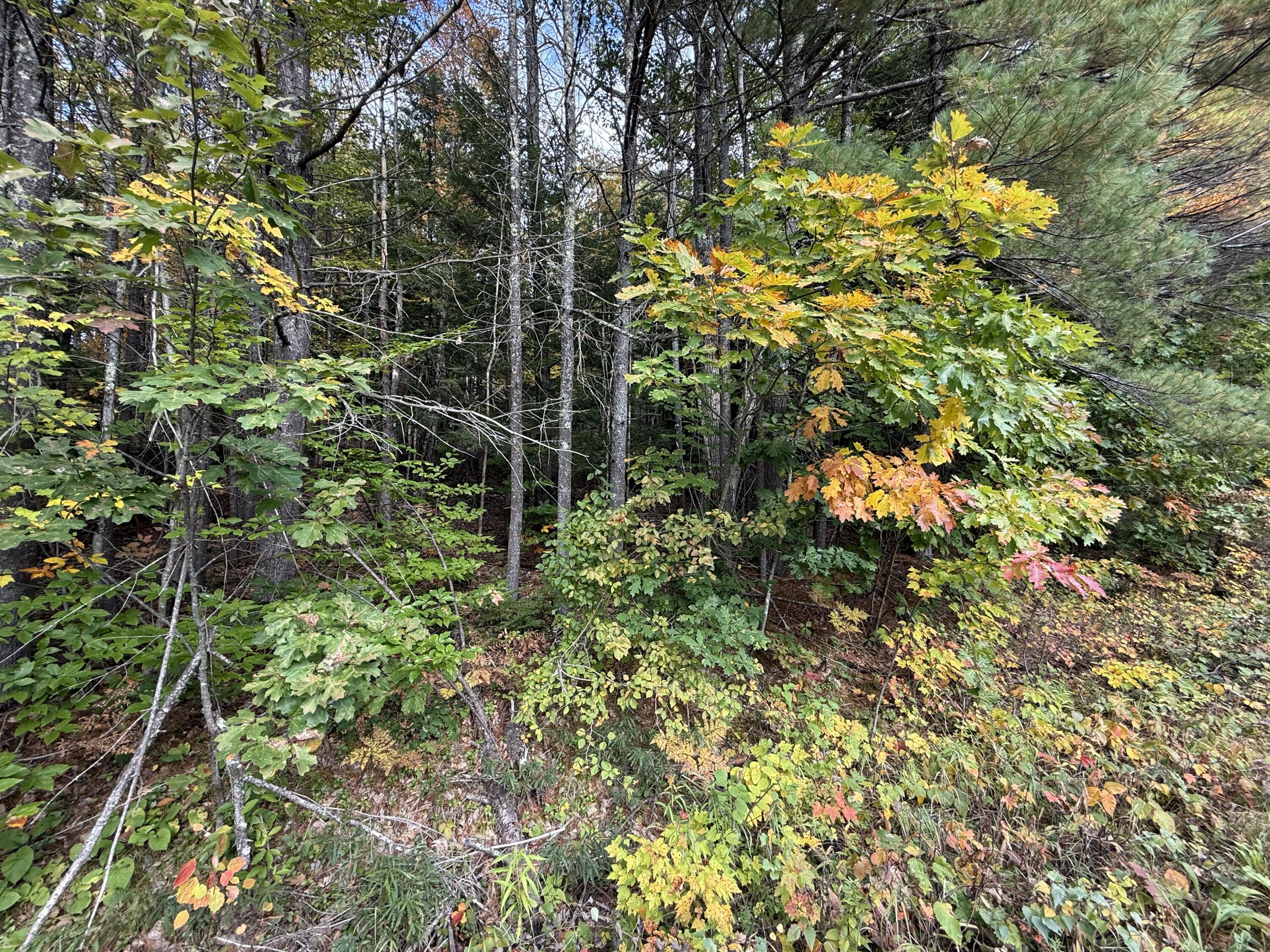 M43 L5 Shady Nook Road Property Photo 6