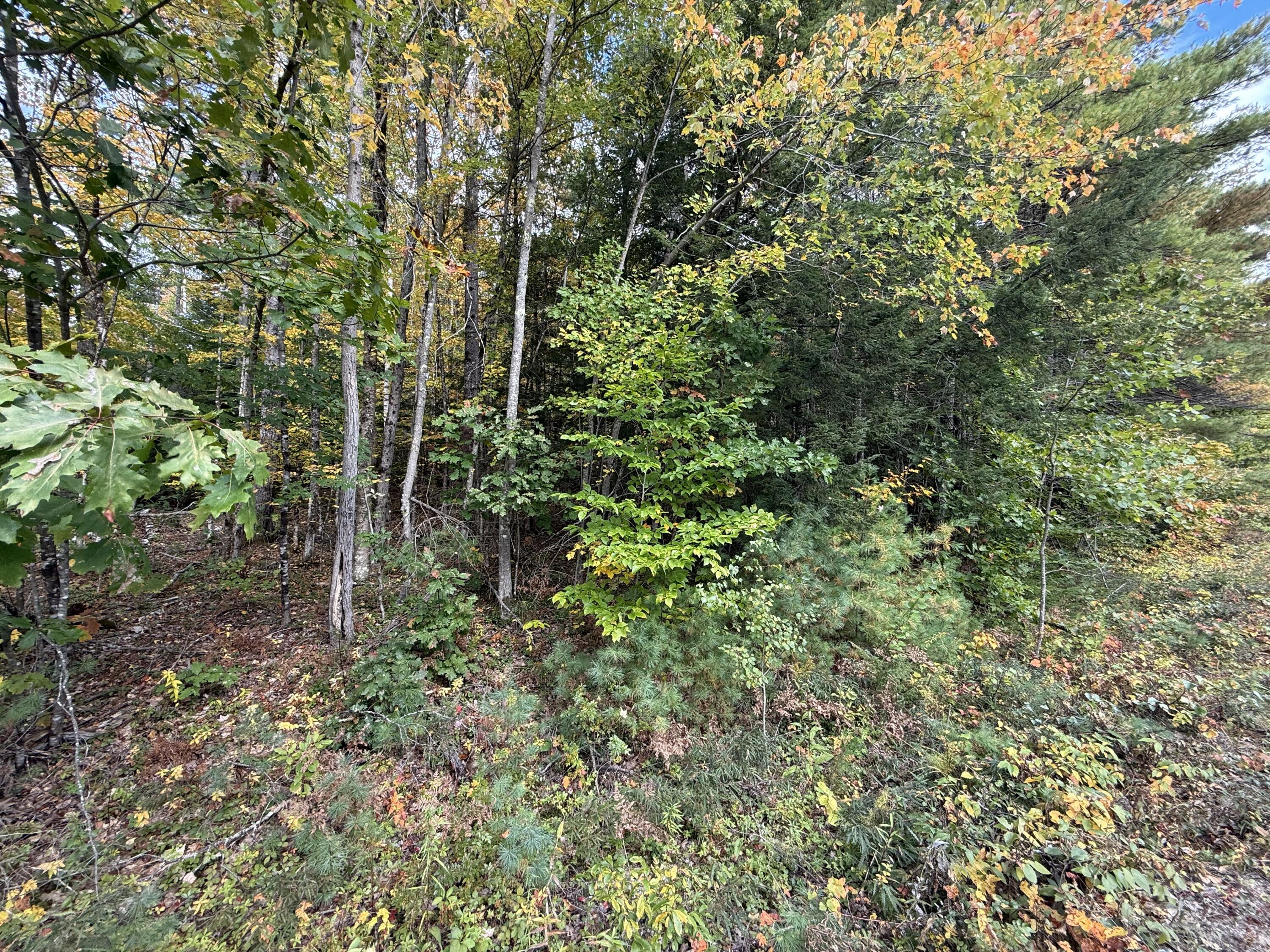M43 L5 Shady Nook Road Property Photo 7