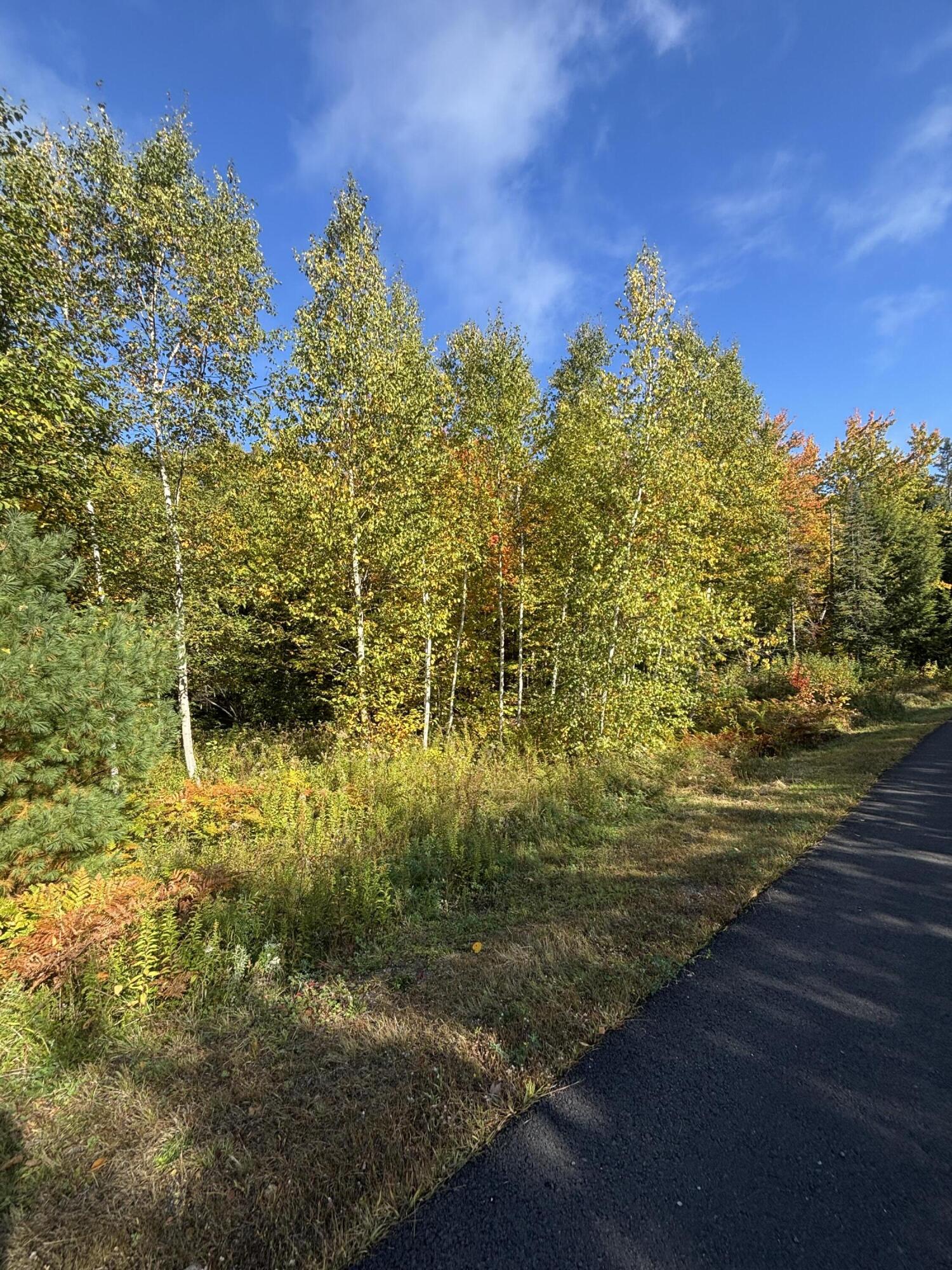 Lot #13 Pine Grove Lane Property Photo 1