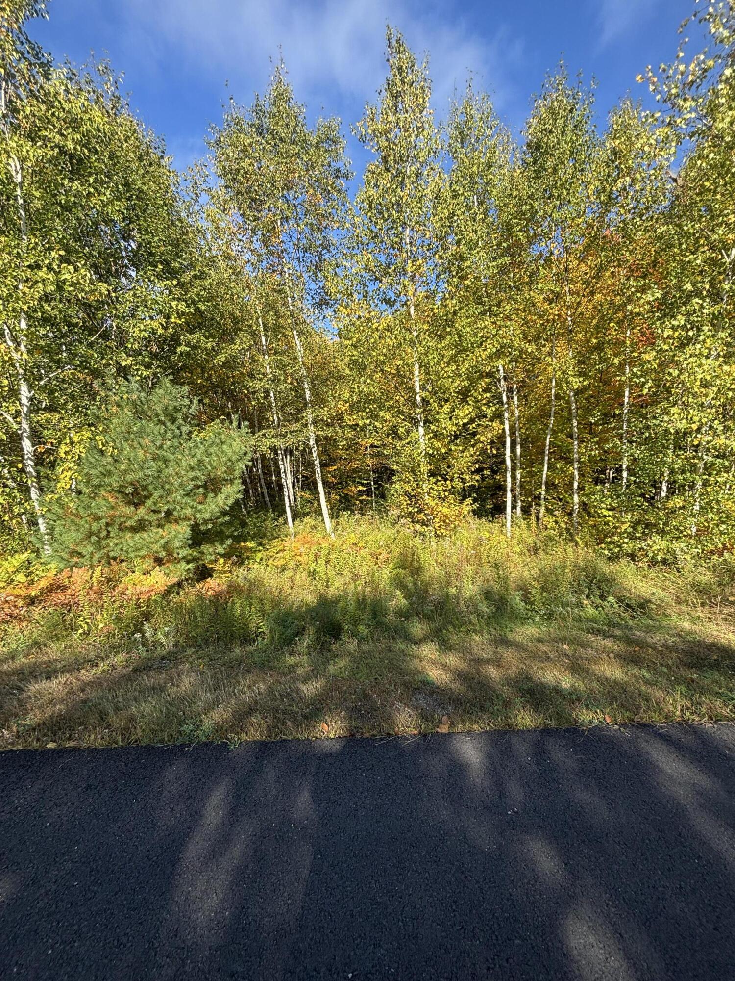 Lot #13 Pine Grove Lane Property Photo 3